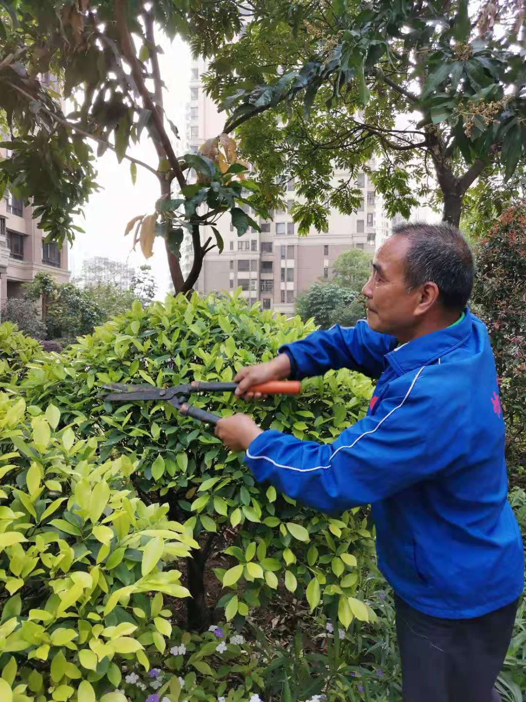 景觀工程 景觀工程