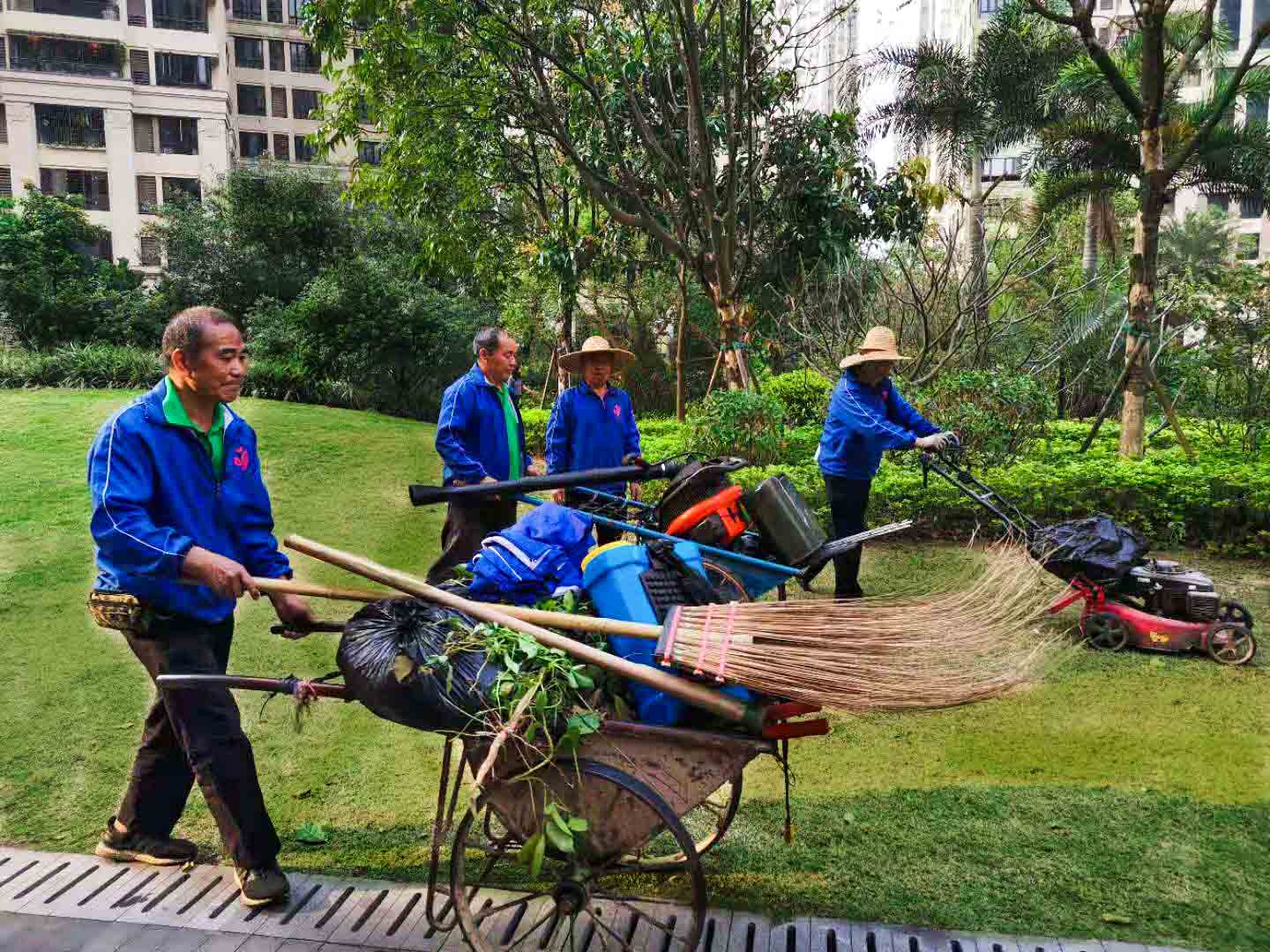 綠化工程 綠化工程