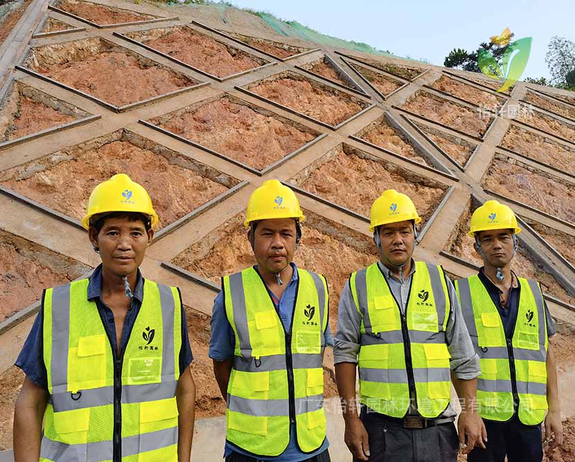 綠化工程 綠化工程