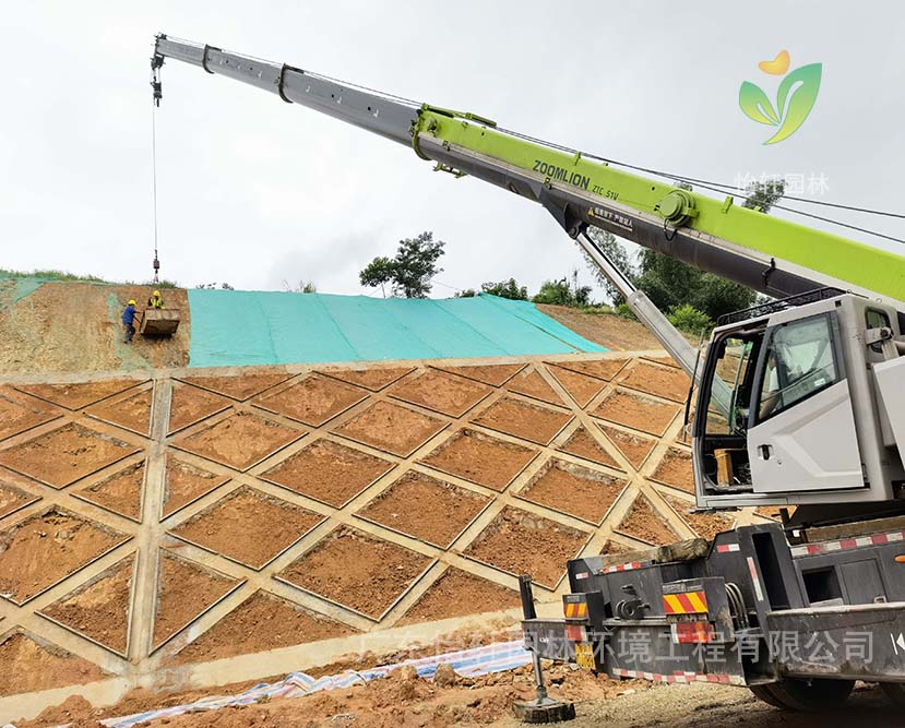 綠化工程 綠化工程