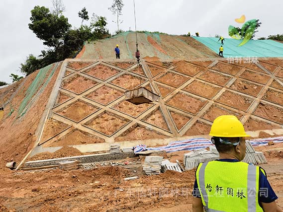 綠化工程 綠化工程