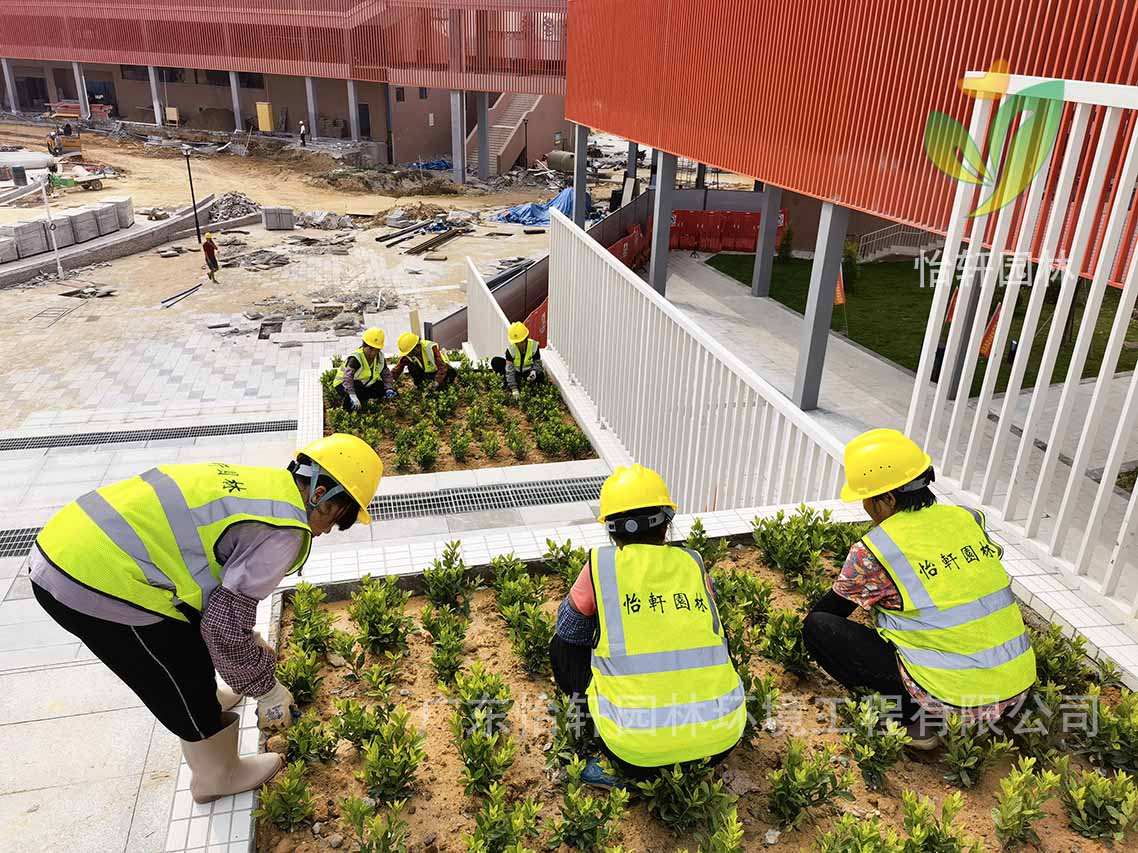 綠化工程 綠化工程