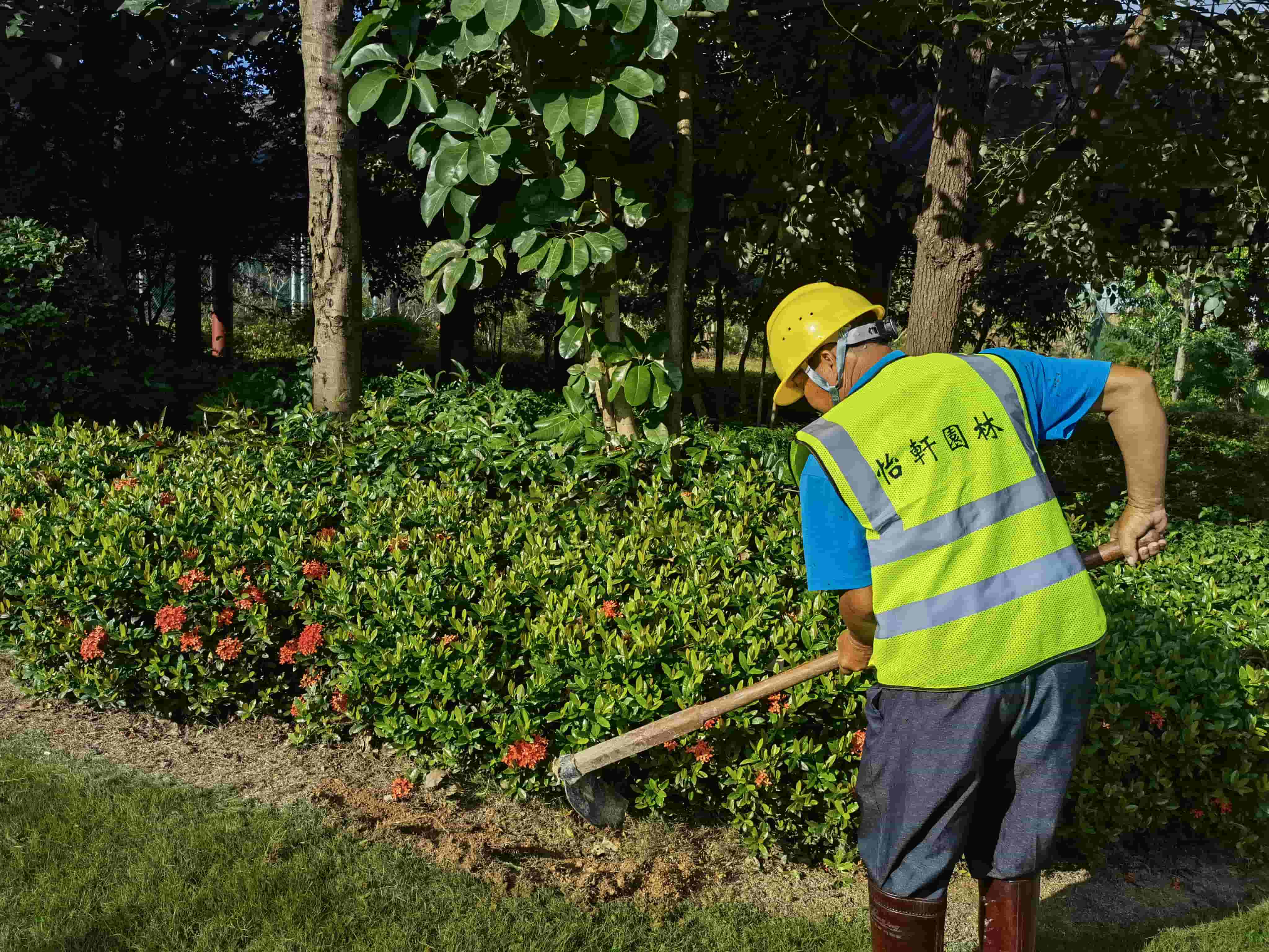 園林景觀，深圳綠化公司