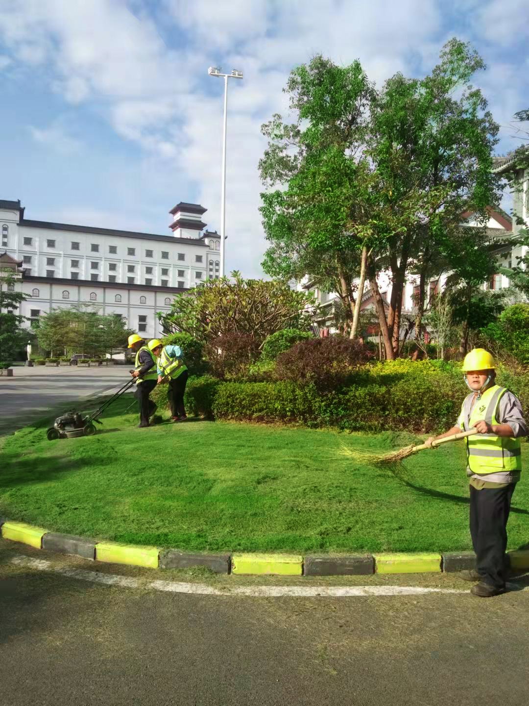 綠化養(yǎng)護(hù),草坪