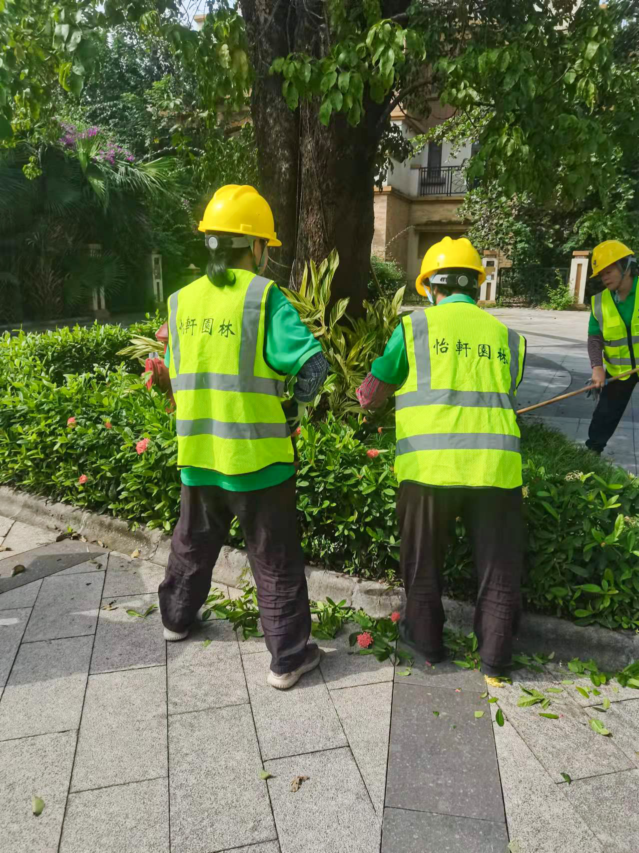 綠化工程 綠化工程