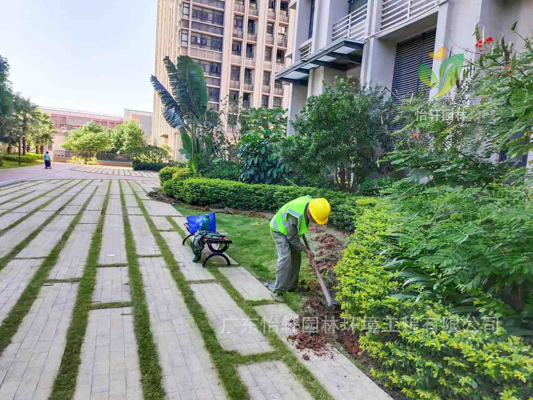 園林綠化公司,綠化養(yǎng)護,綠化公司 園林綠化公司,綠化養(yǎng)護,綠化公司