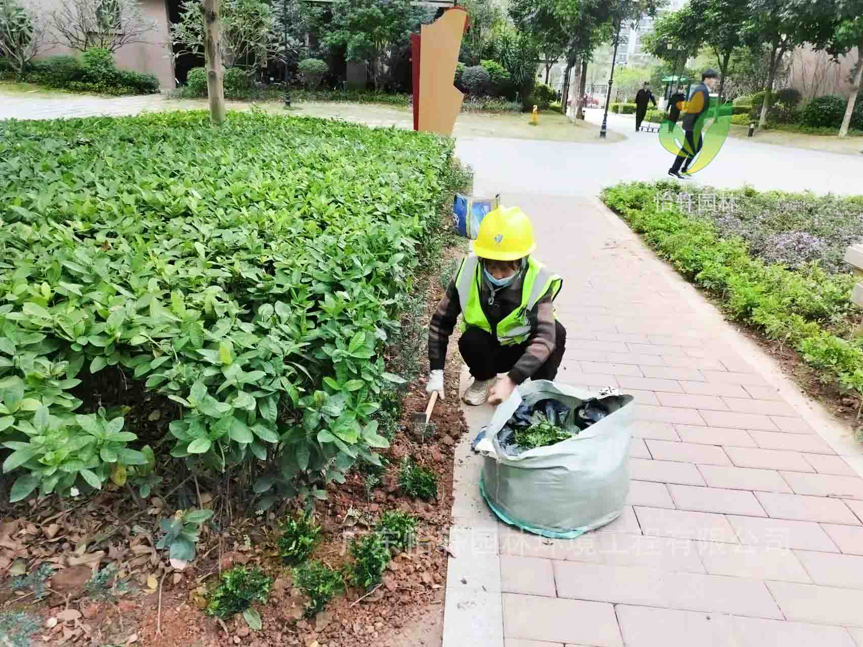 園林綠化公司,綠化養(yǎng)護,綠化公司 園林綠化公司,綠化養(yǎng)護,綠化公司
