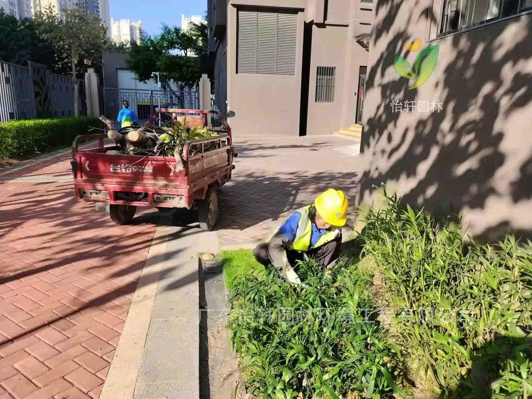 園林綠化公司,綠化養(yǎng)護,綠化公司 園林綠化公司,綠化養(yǎng)護,綠化公司