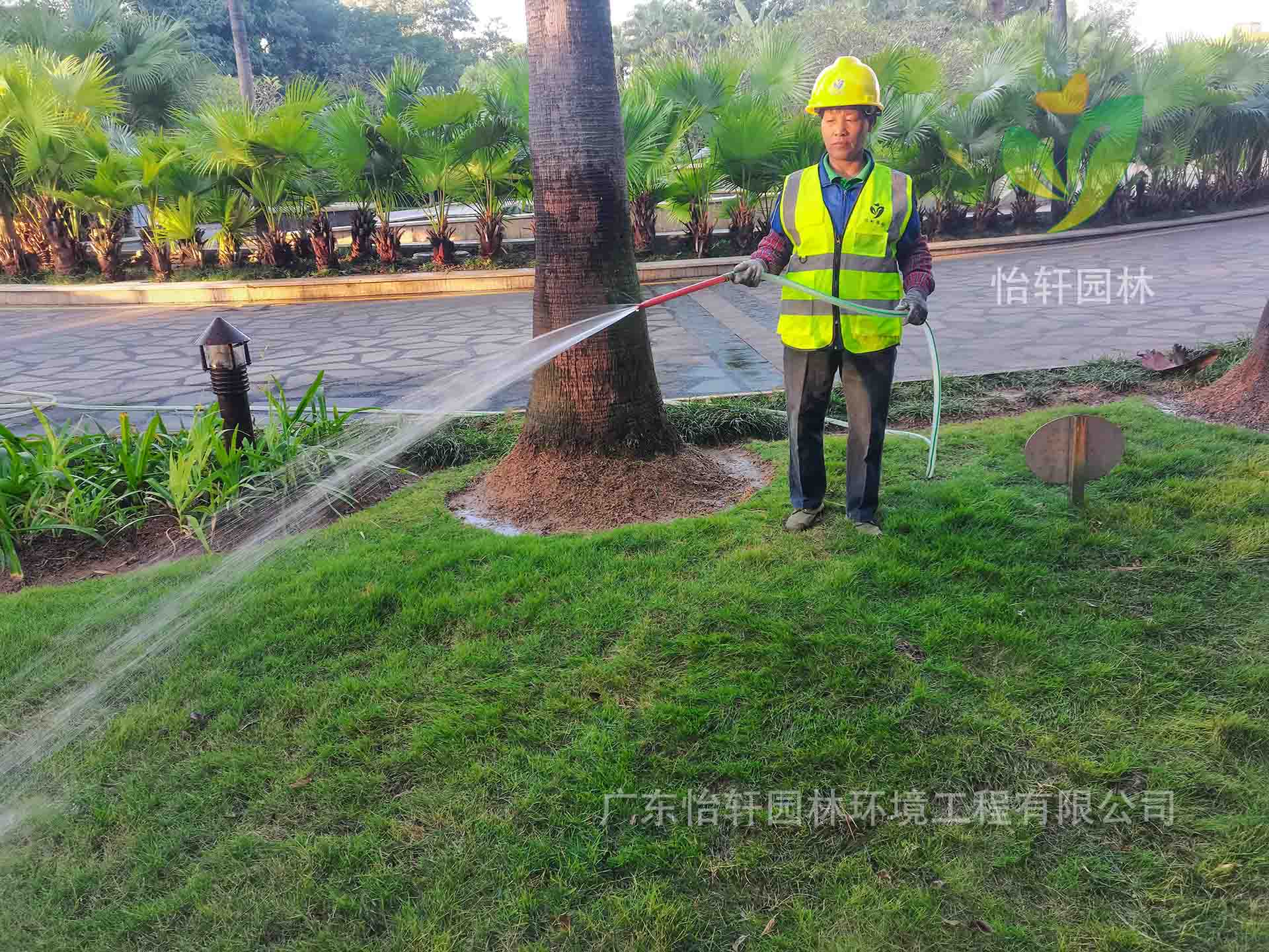 綠化養護 綠化養護