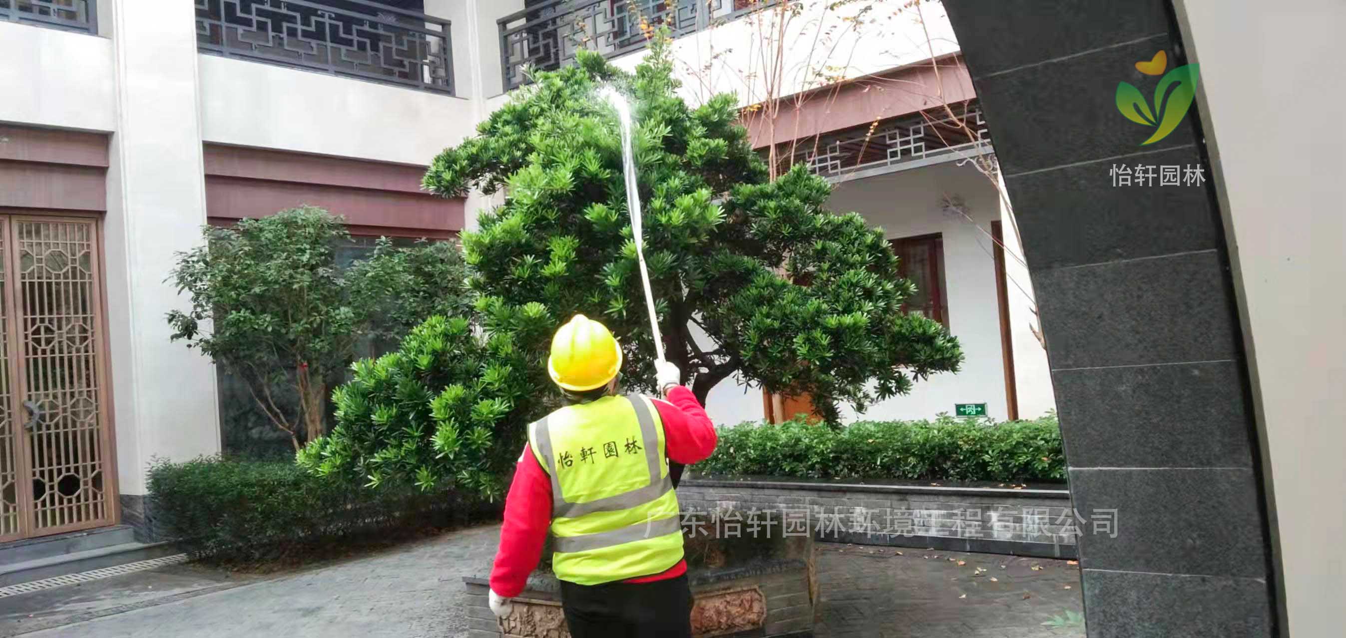 綠化養護 綠化養護