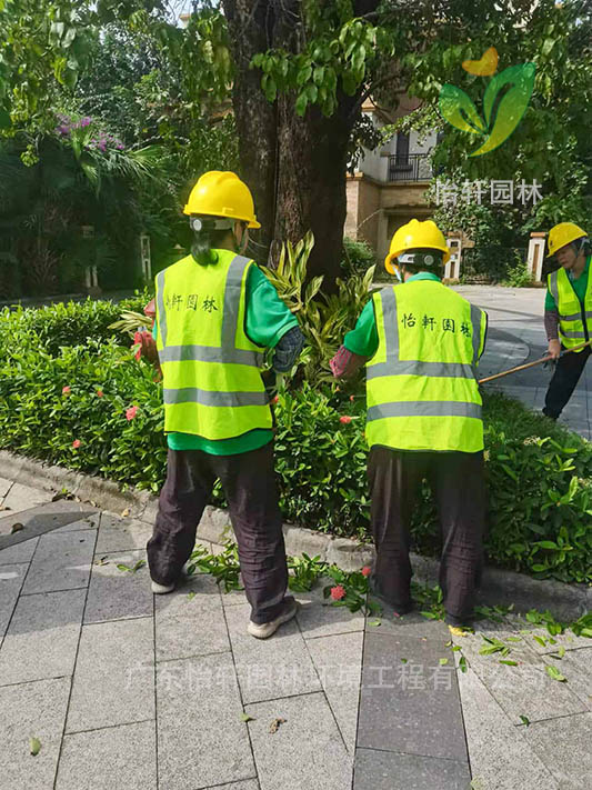 綠化養護 綠化養護