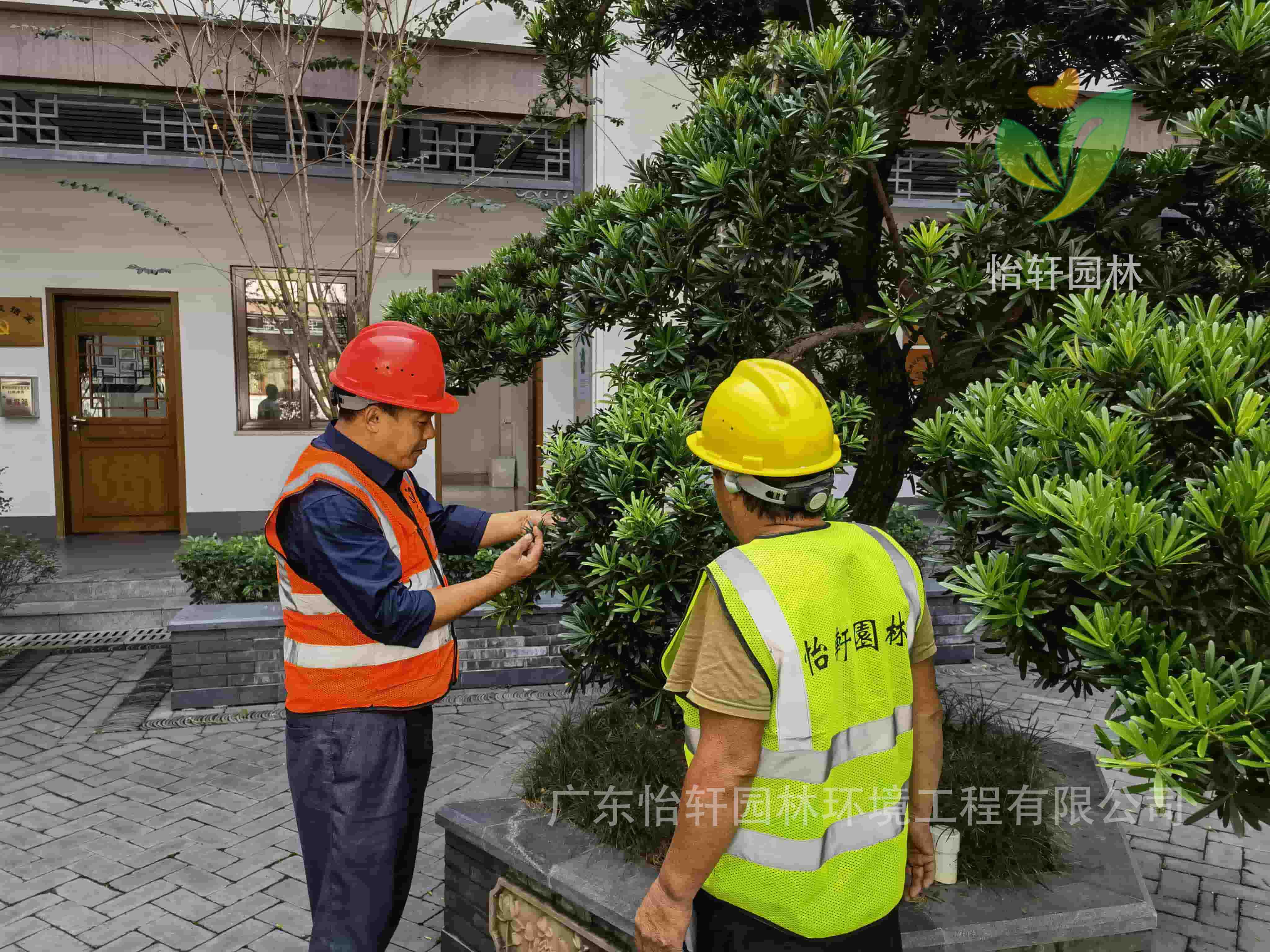 綠化養護 綠化養護