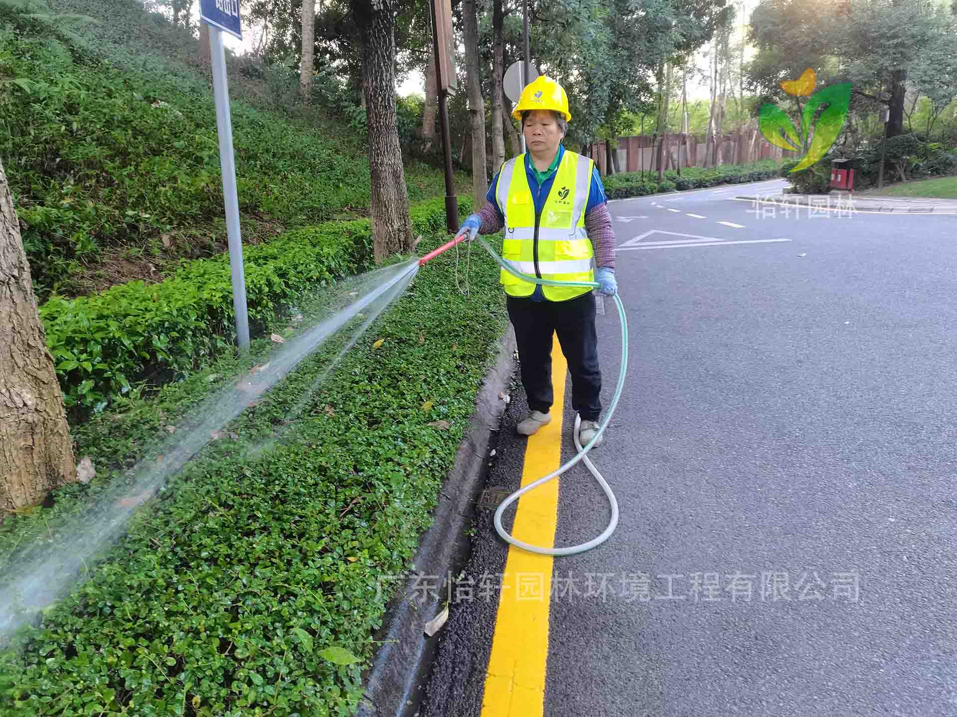 綠化養護 綠化養護