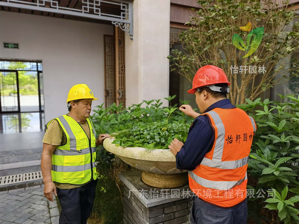 綠化養護 綠化養護