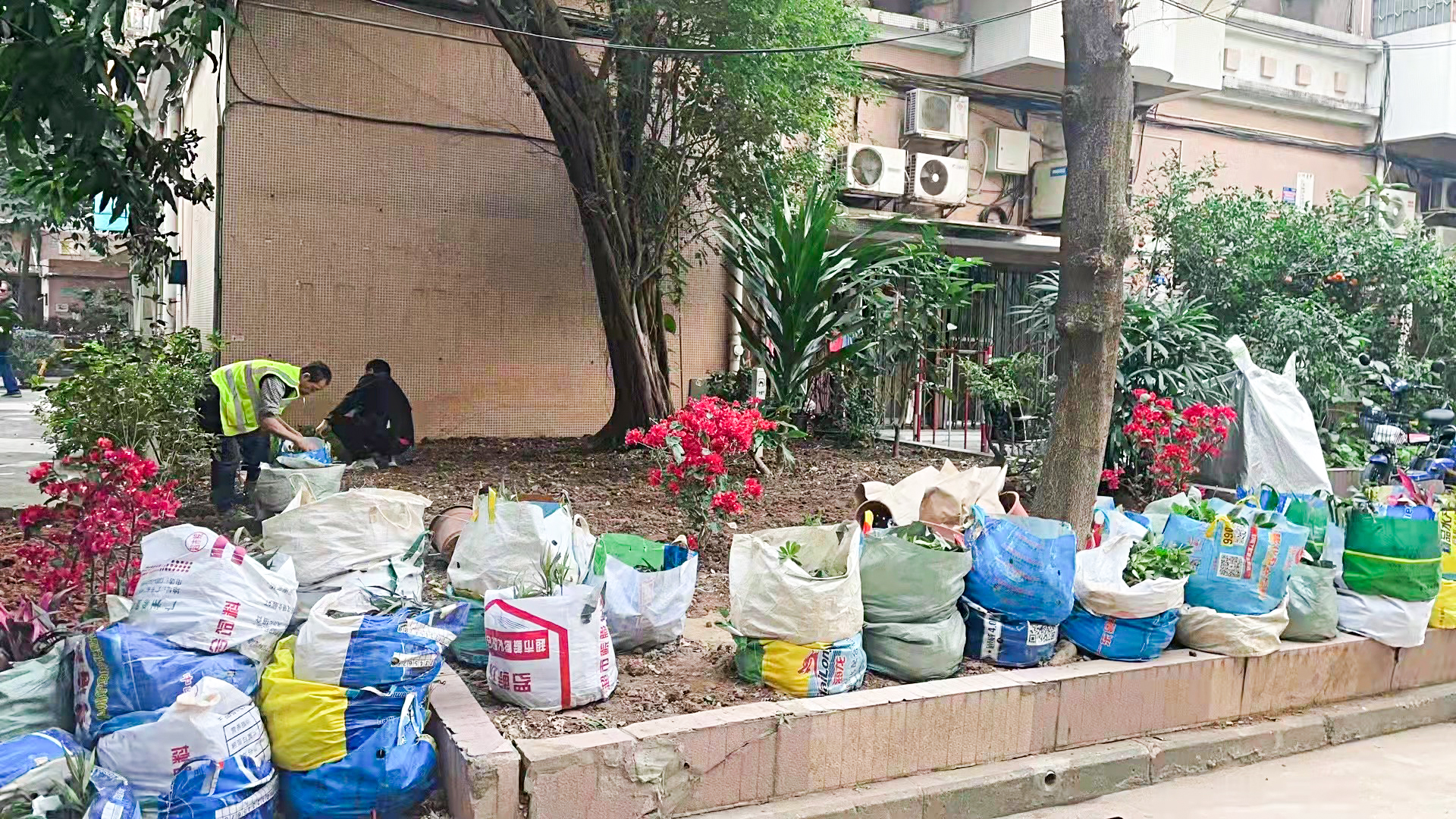 綠化養(yǎng)護(hù),園林人