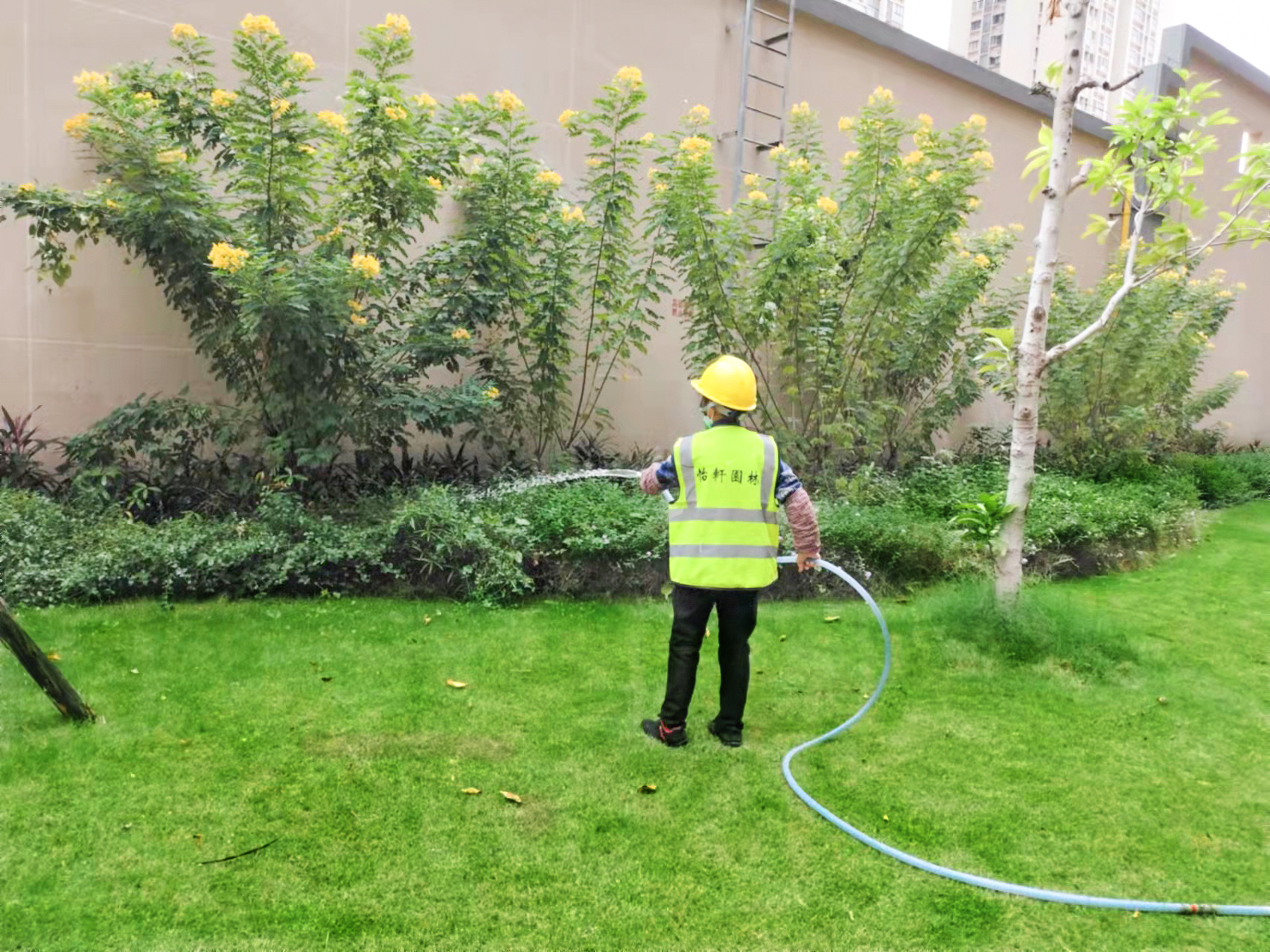 綠化養(yǎng)護(hù)