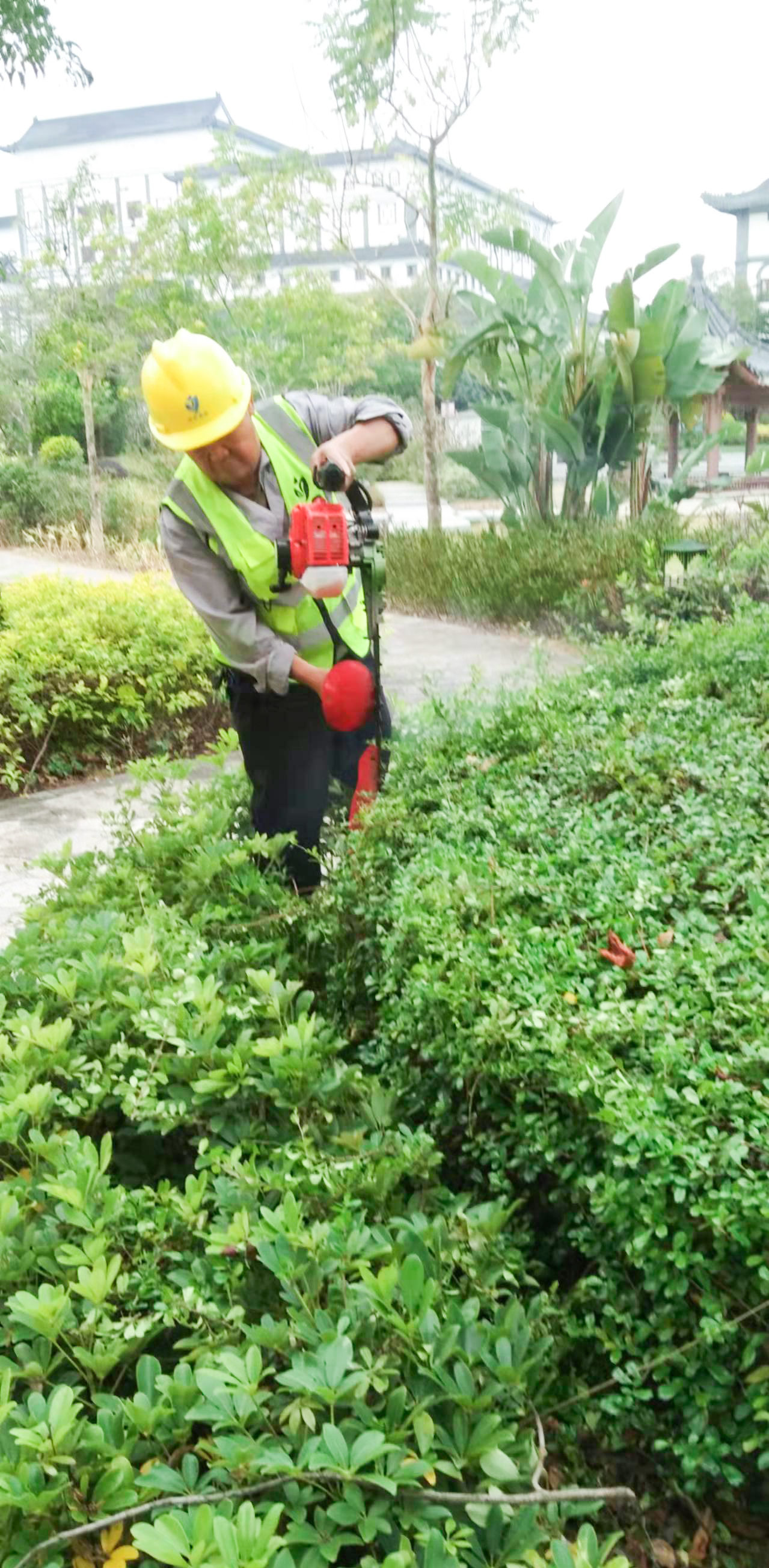 園林綠化 園林綠化