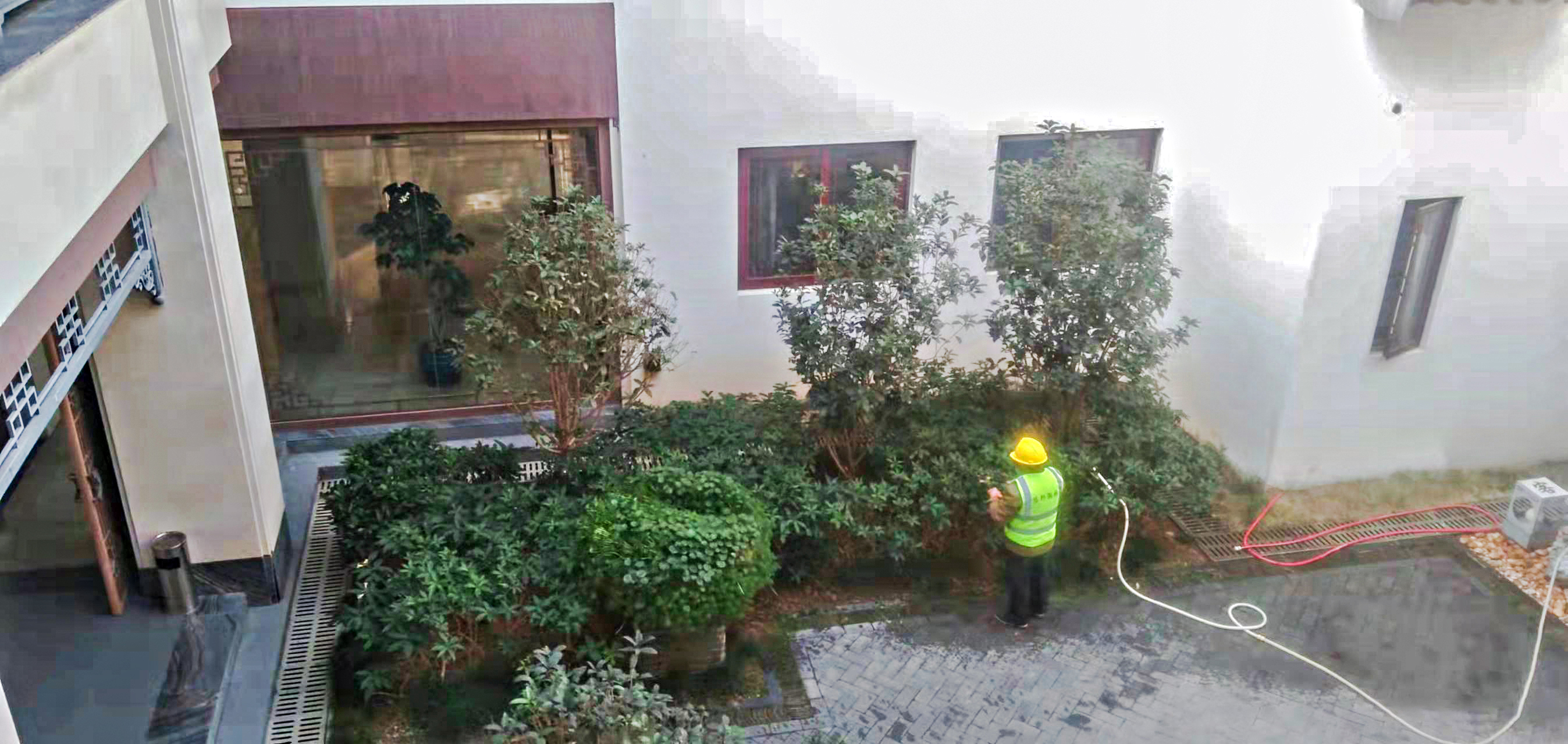 園林綠化,綠化苗木 園林綠化,綠化苗木