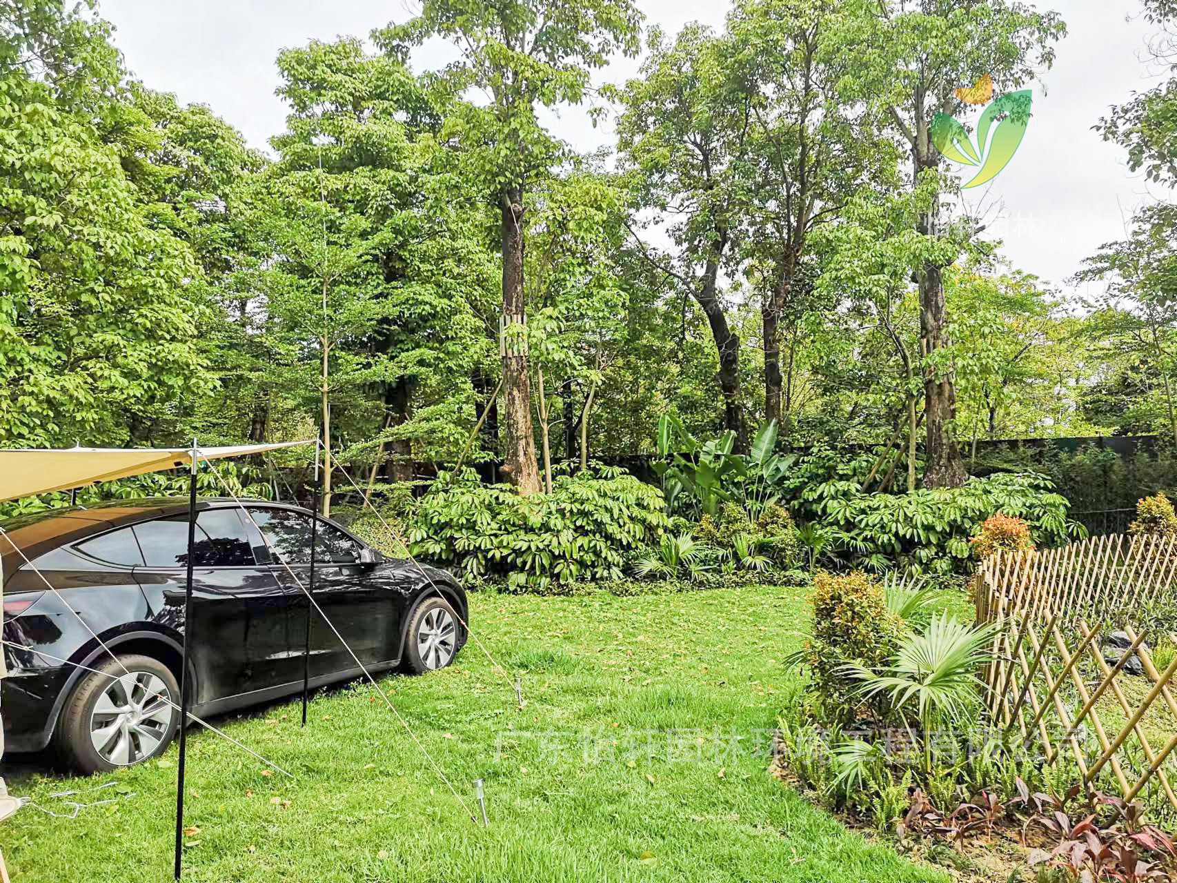 園林綠化公司,綠化工程,綠化設(shè)計