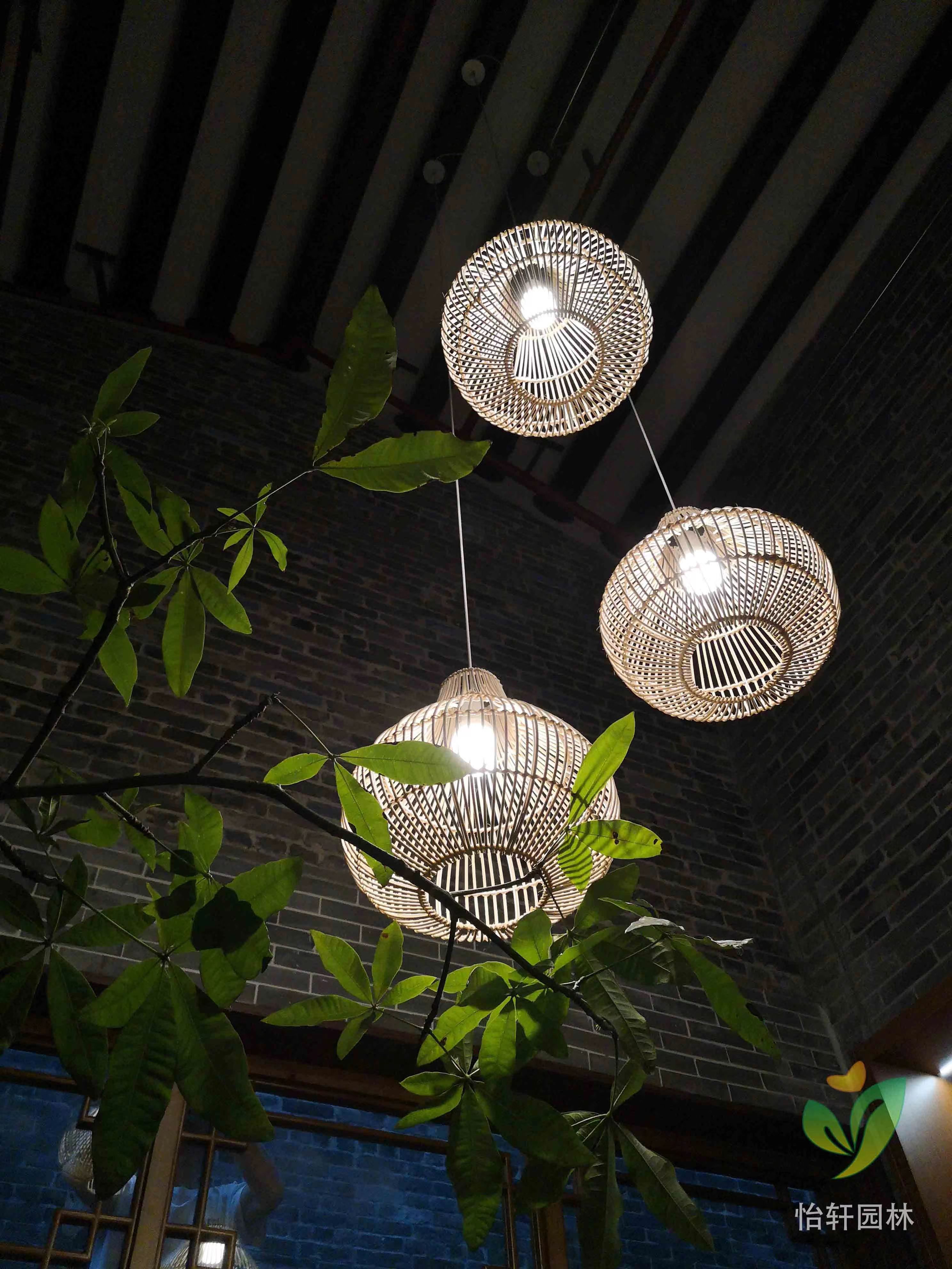 園林綠化工程 園林綠化工程