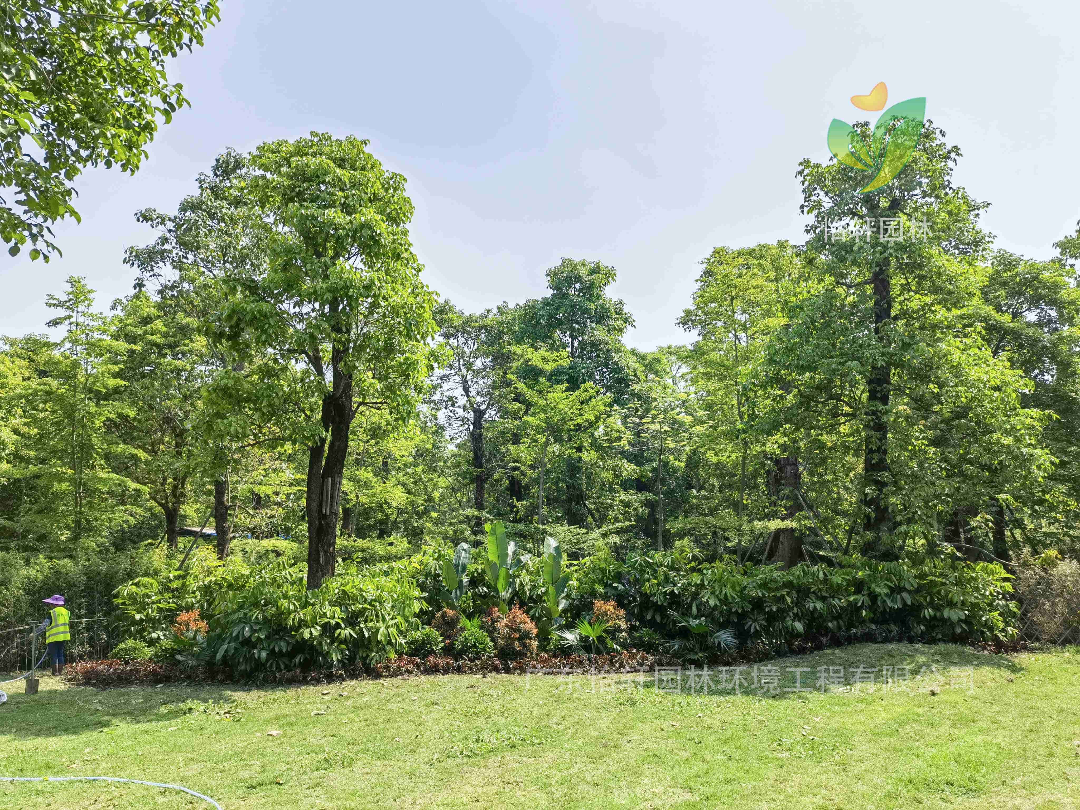 景觀設計,屋頂花園 景觀設計,屋頂花園