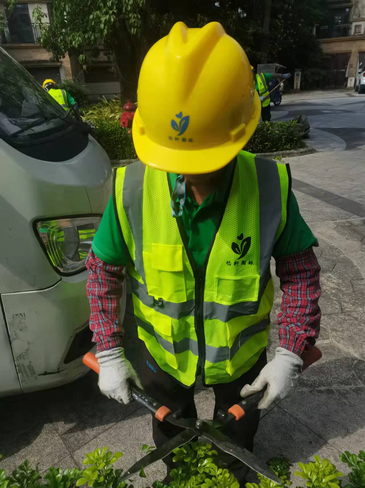 修剪,綠化養(yǎng)護