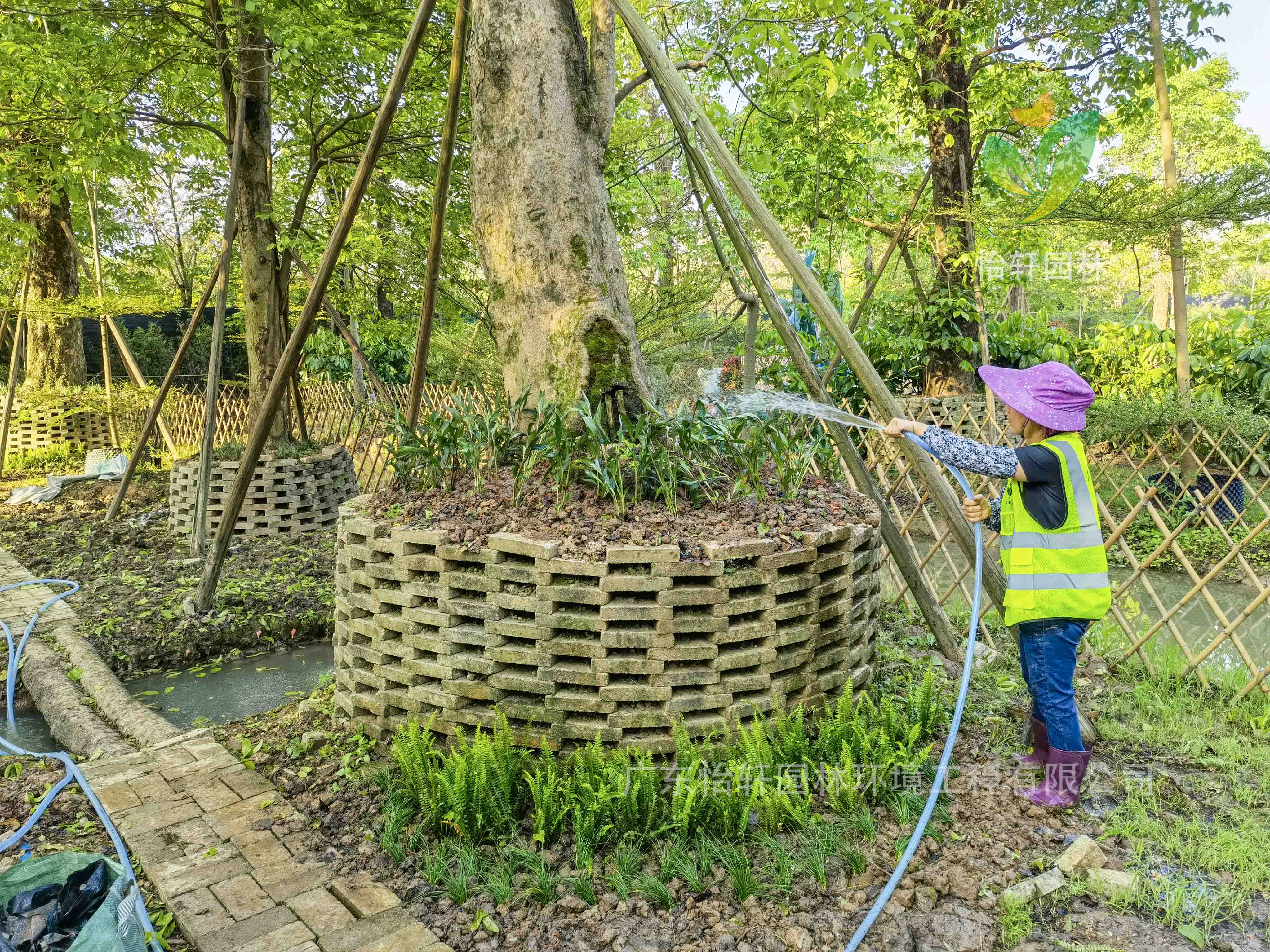 佛山綠化公司,苔蘚 佛山綠化公司,苔蘚