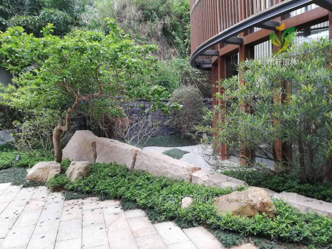 禪意庭院 禪意庭院