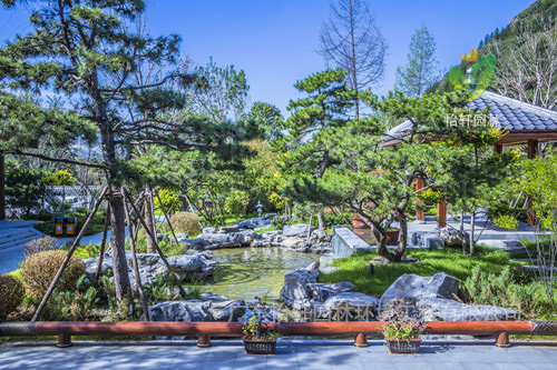 綠化工程 綠化工程