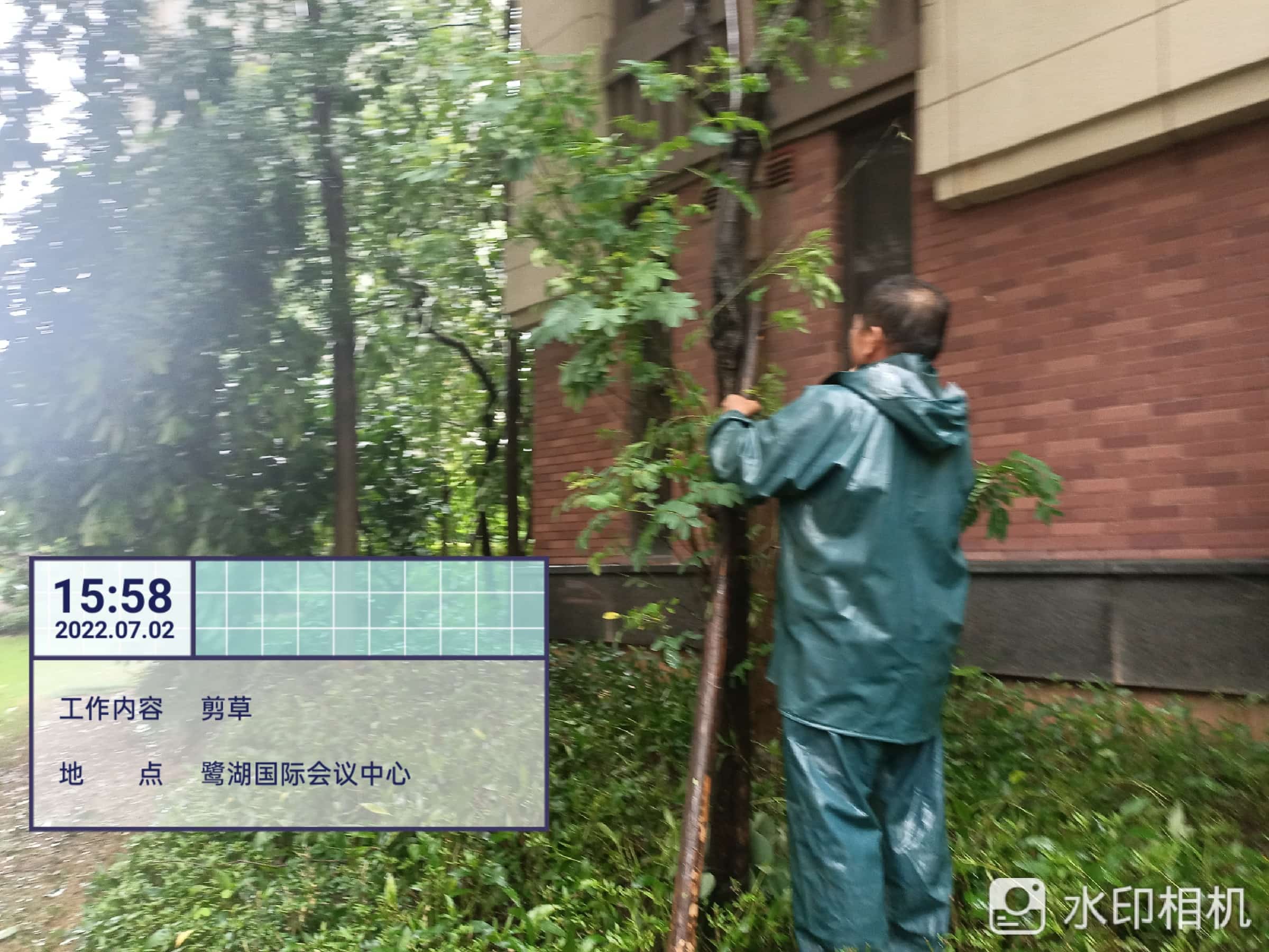 園林綠化公司,綠化養護,園林綠化 園林綠化公司,綠化養護,園林綠化