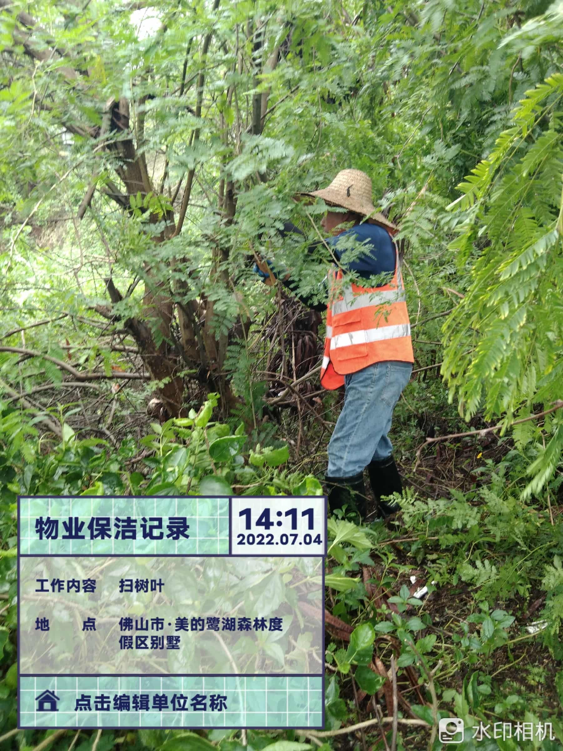 園林綠化公司,綠化養護,園林綠化 園林綠化公司,綠化養護,園林綠化