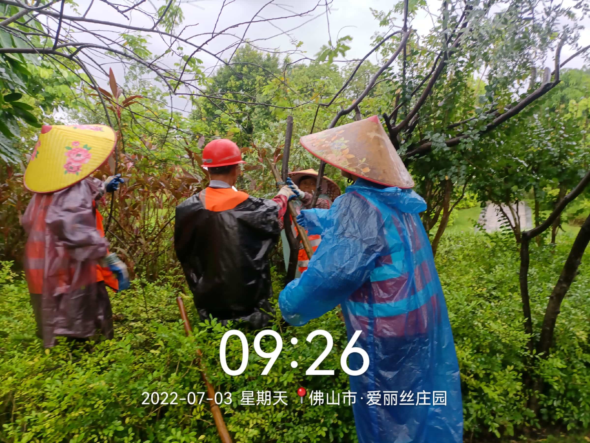 園林綠化,園林綠化公司,綠化