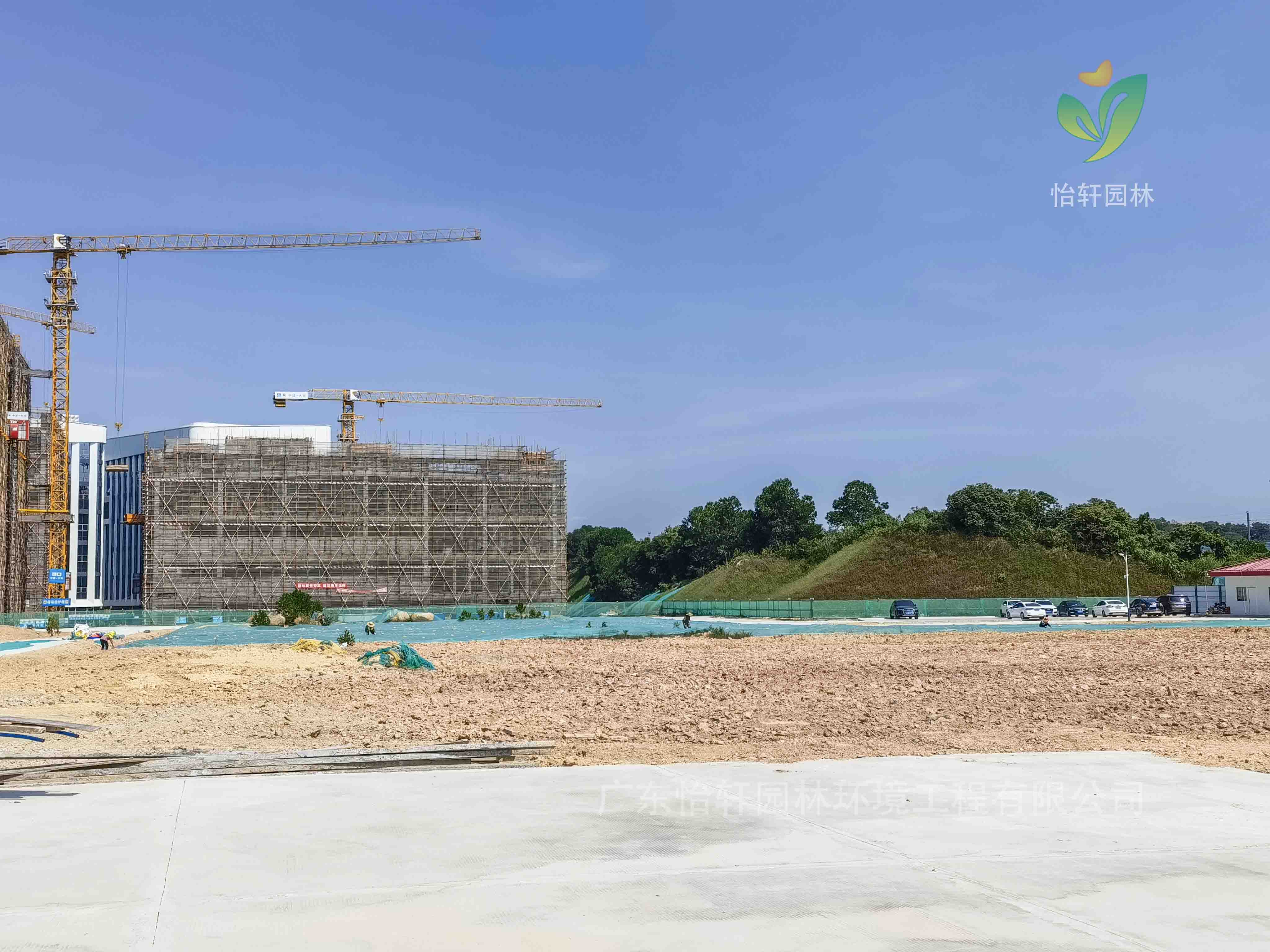 園林綠化,綠化工程