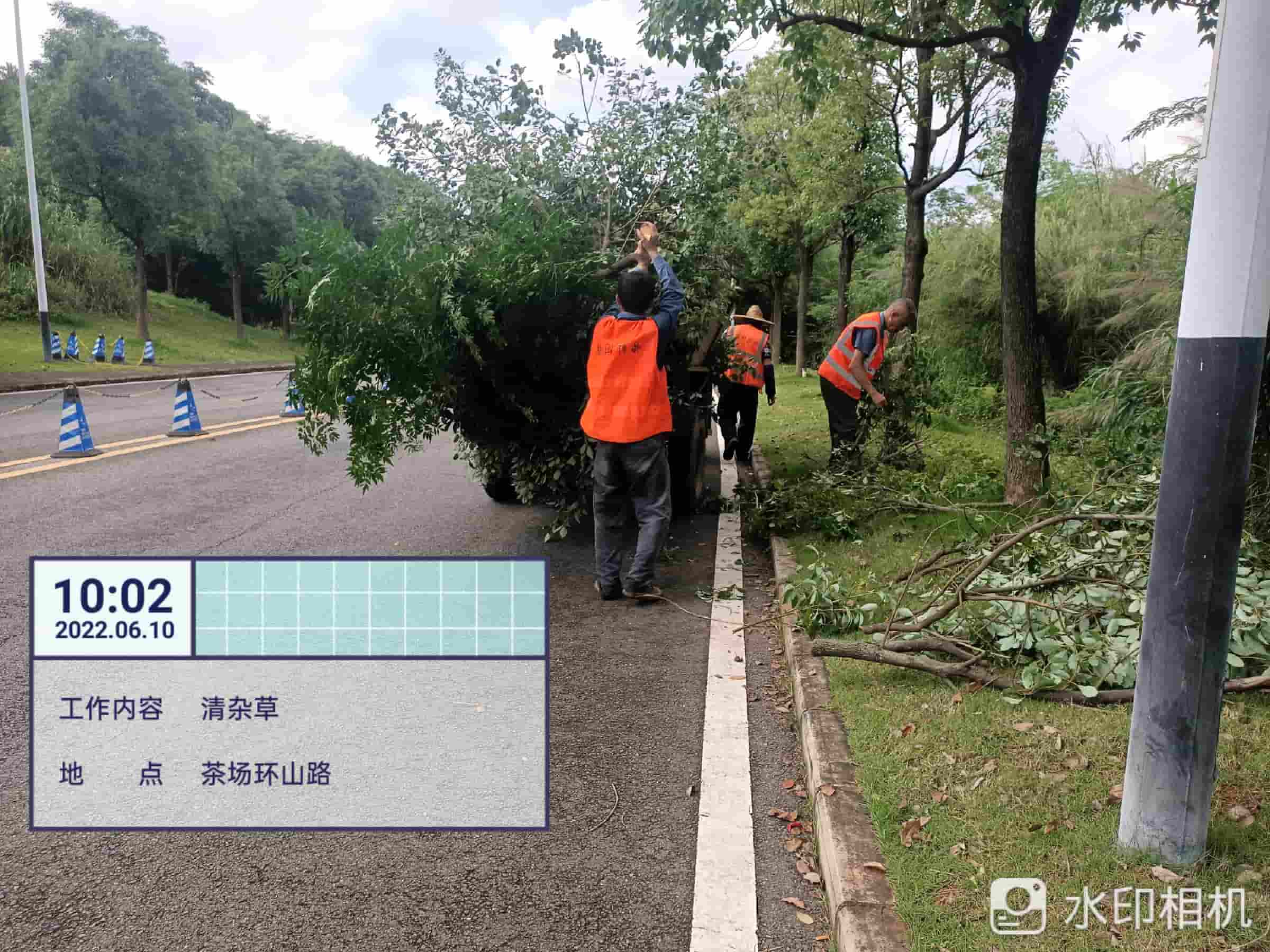 園林綠化養(yǎng)護,美的鷺湖 園林綠化養(yǎng)護,美的鷺湖