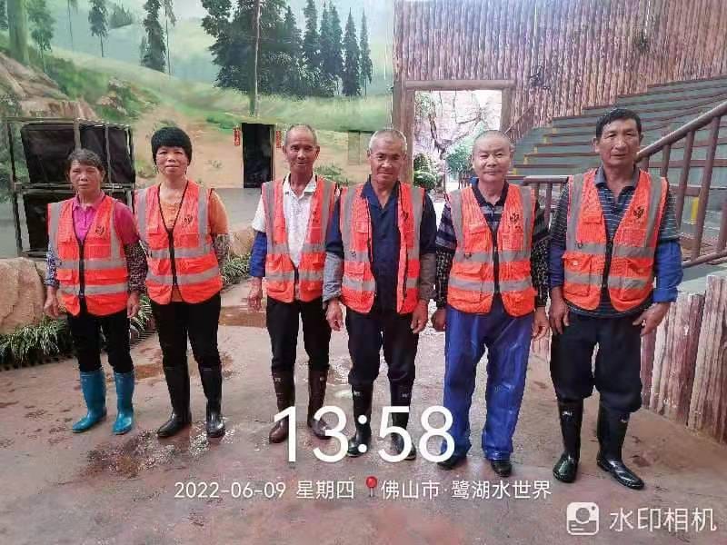 園林綠化公司,涂白