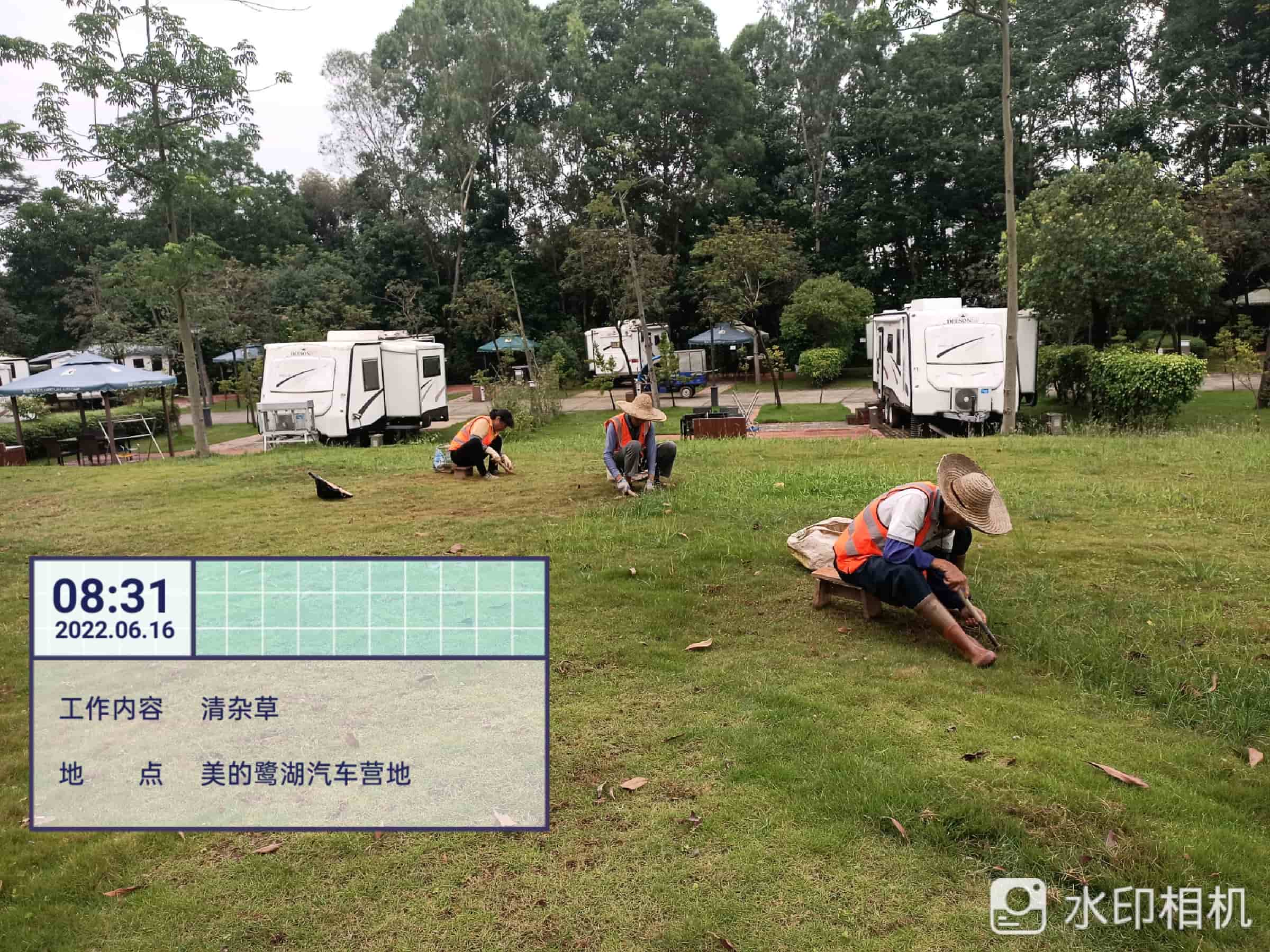 園林養(yǎng)護,養(yǎng)護