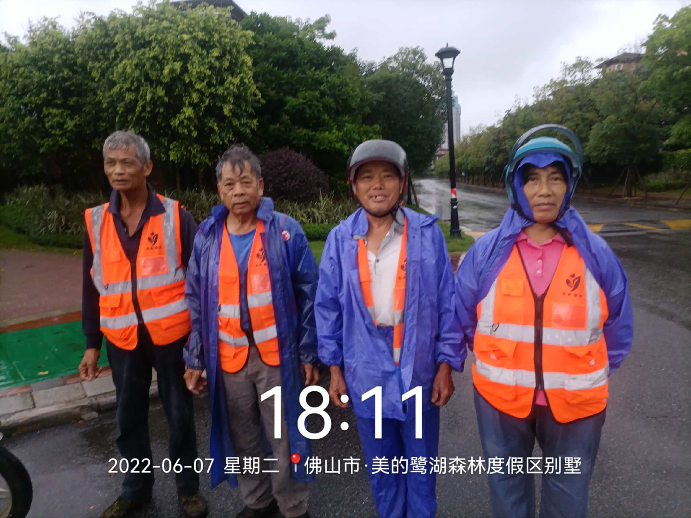 綠化工程,園林綠化