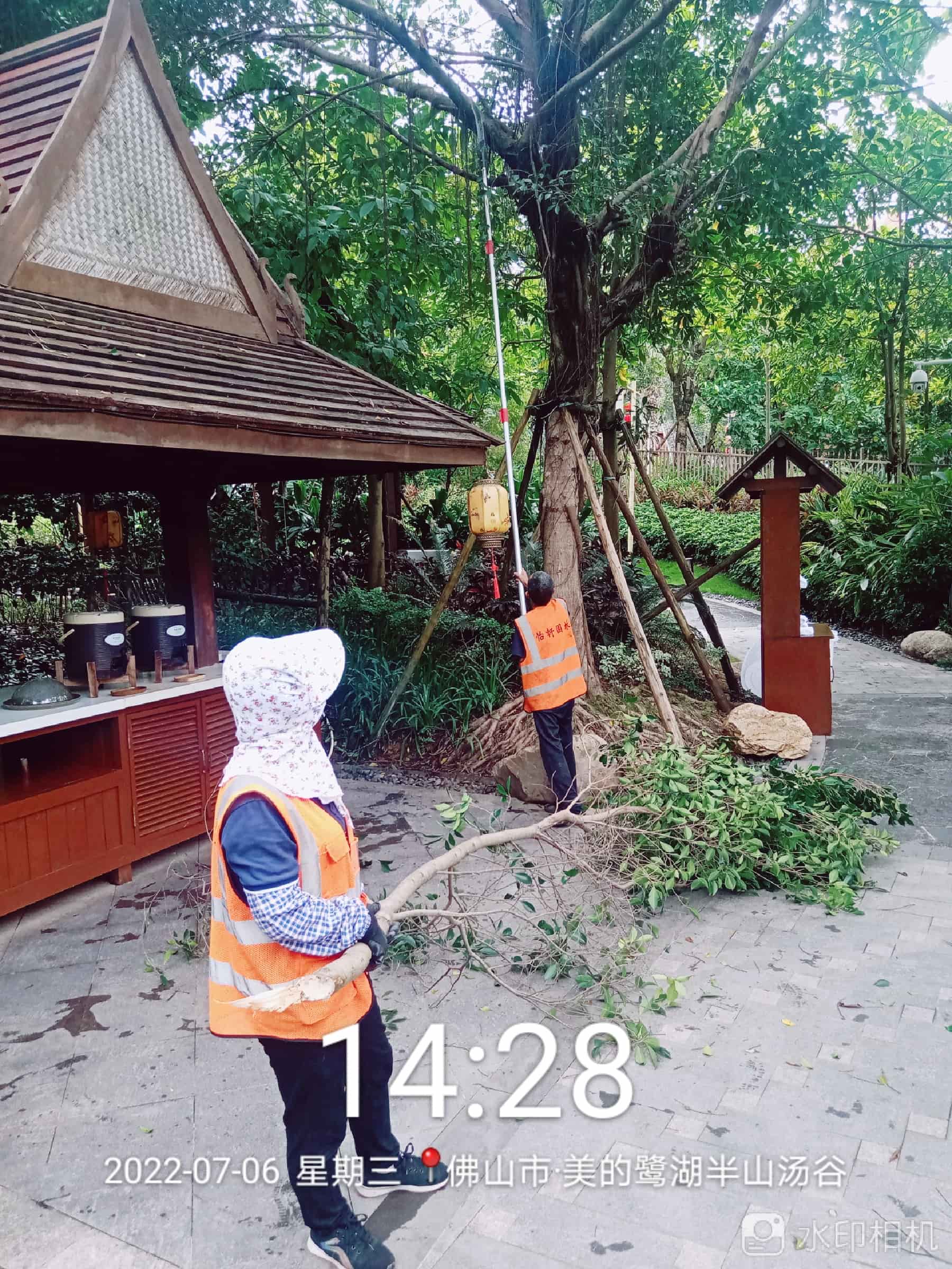 園林養護,美的鷺湖