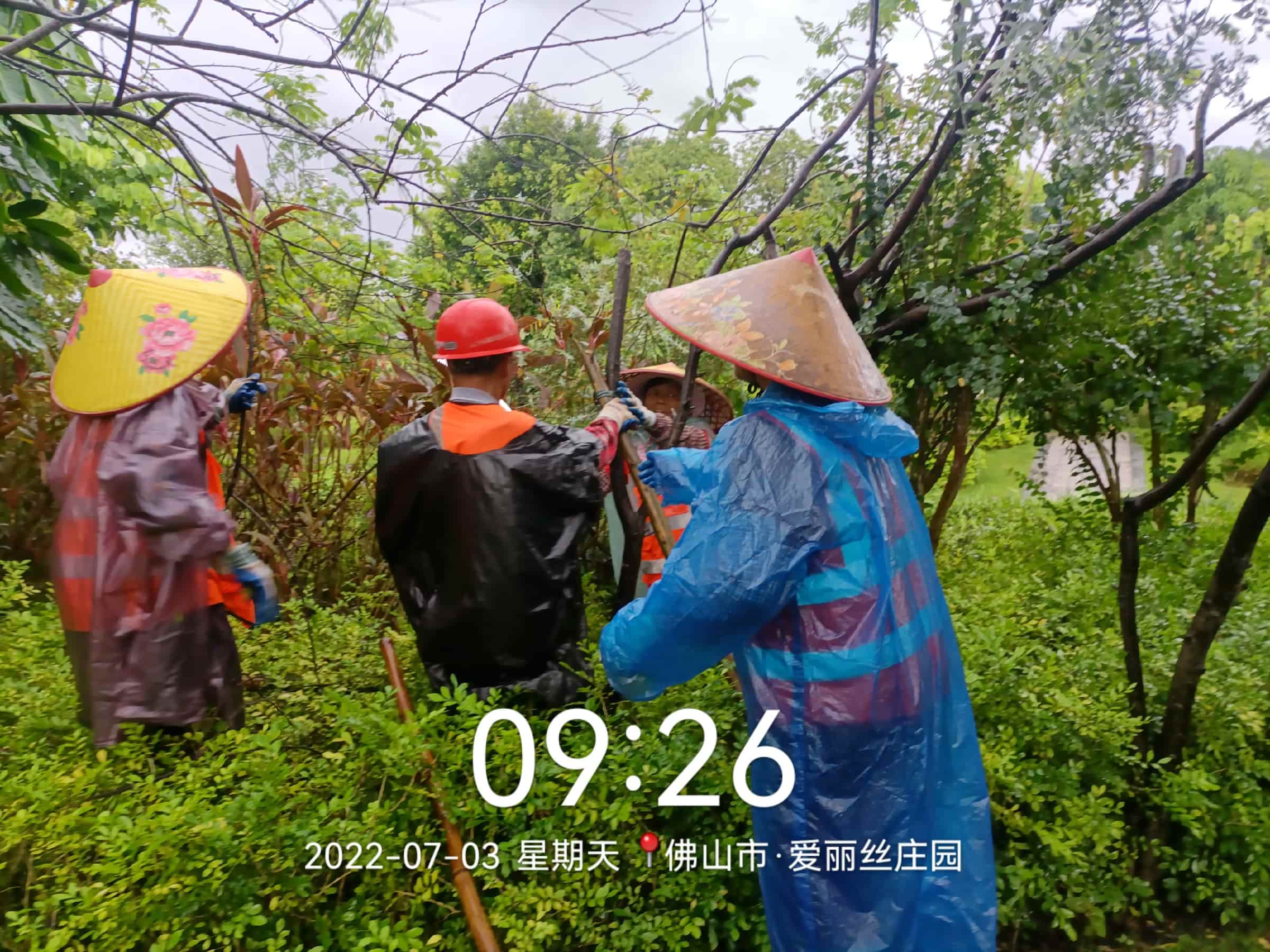 園林養護,美的鷺湖