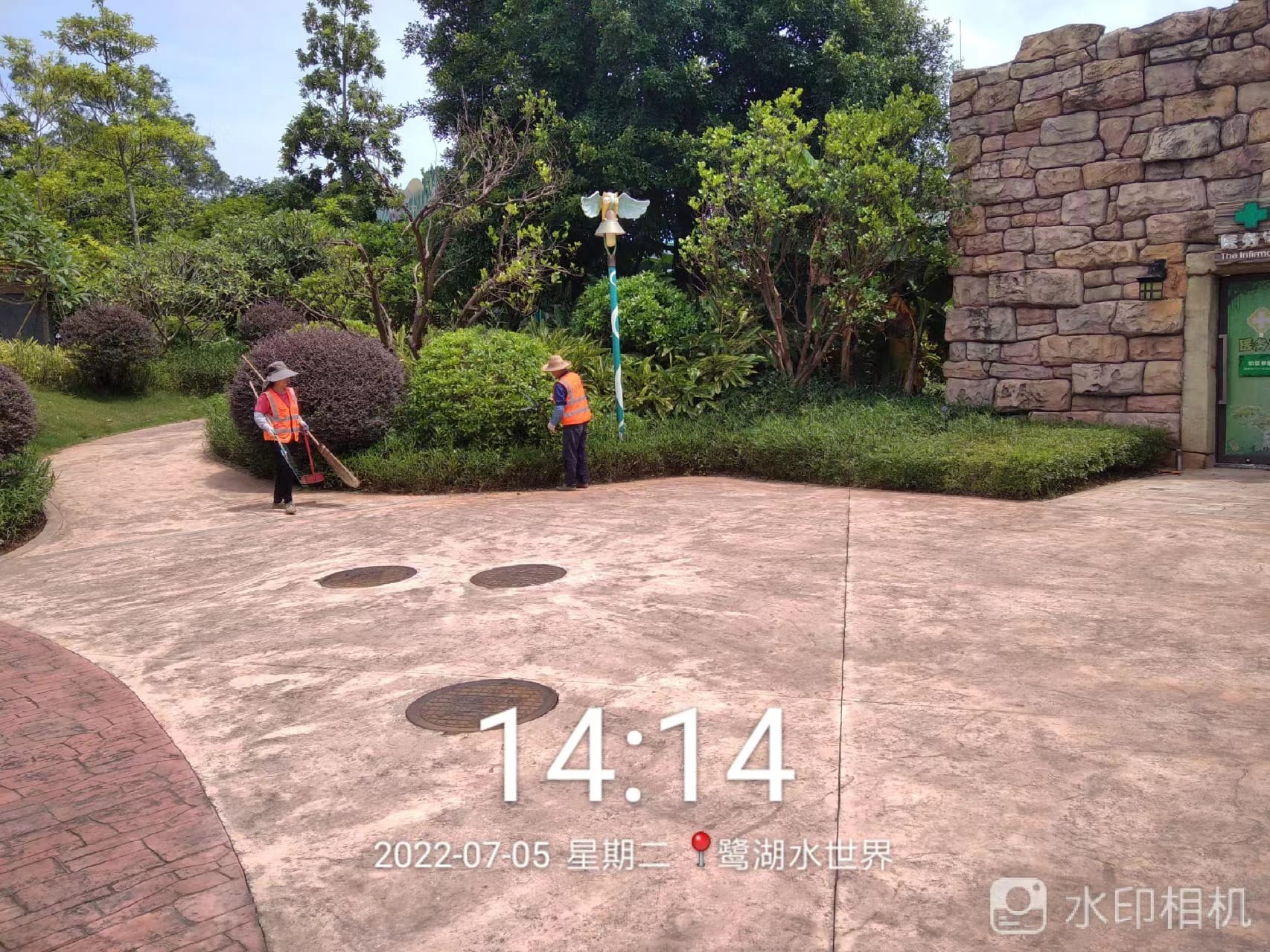 園林綠化公司,植物 園林綠化公司,植物