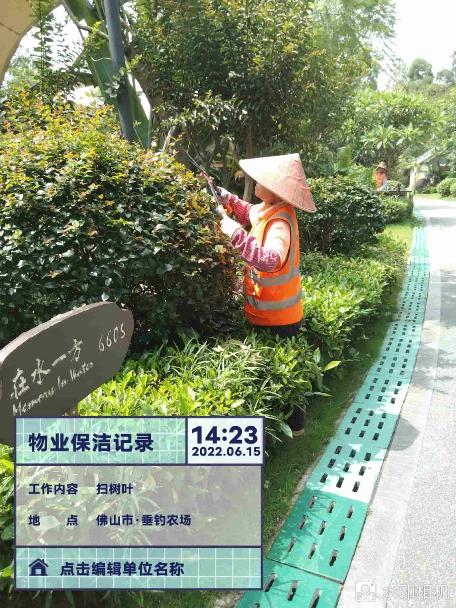 園林綠化公司,植物