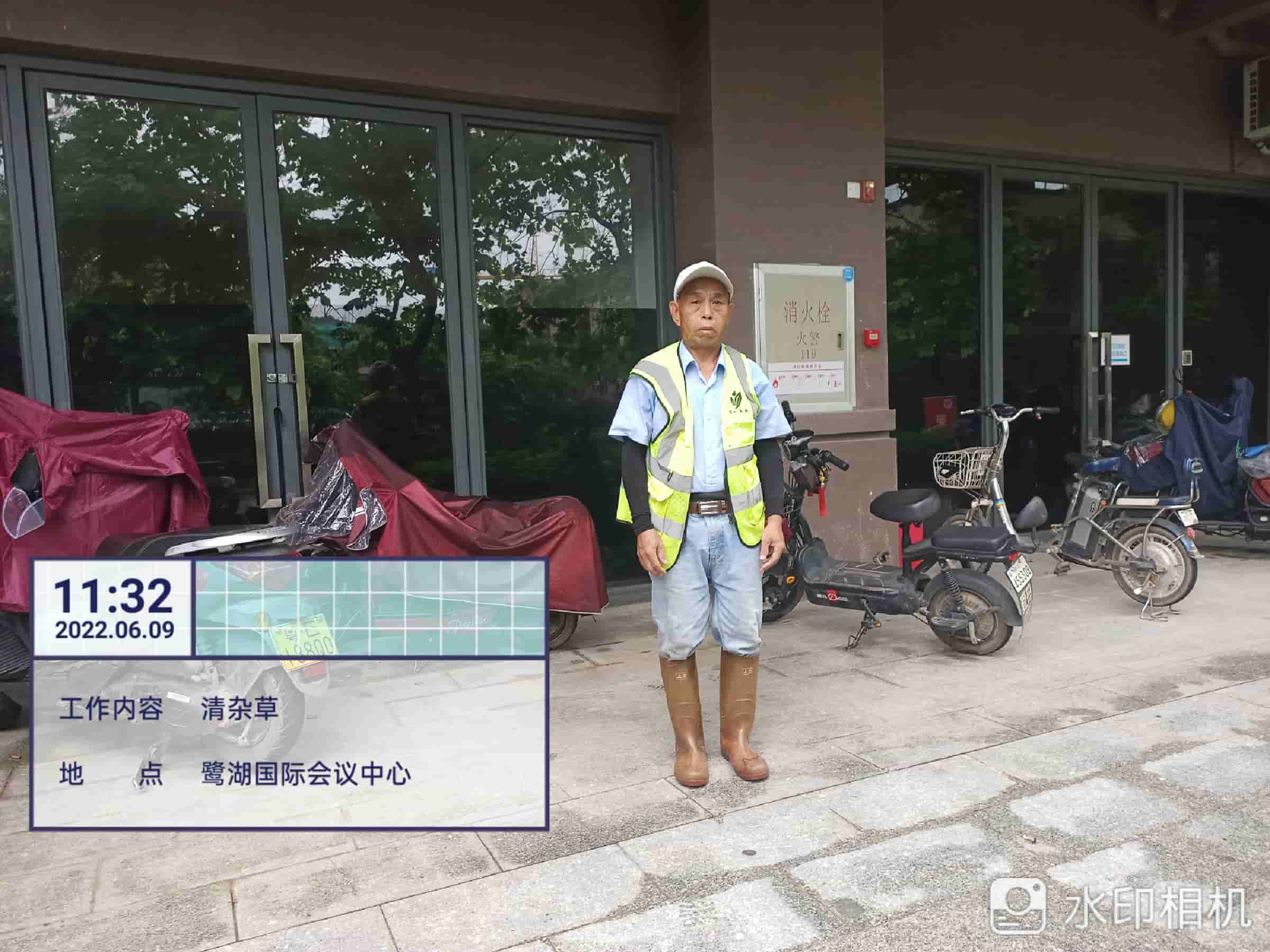 草坪,綠化養護,園林綠化公司 草坪,綠化養護,園林綠化公司