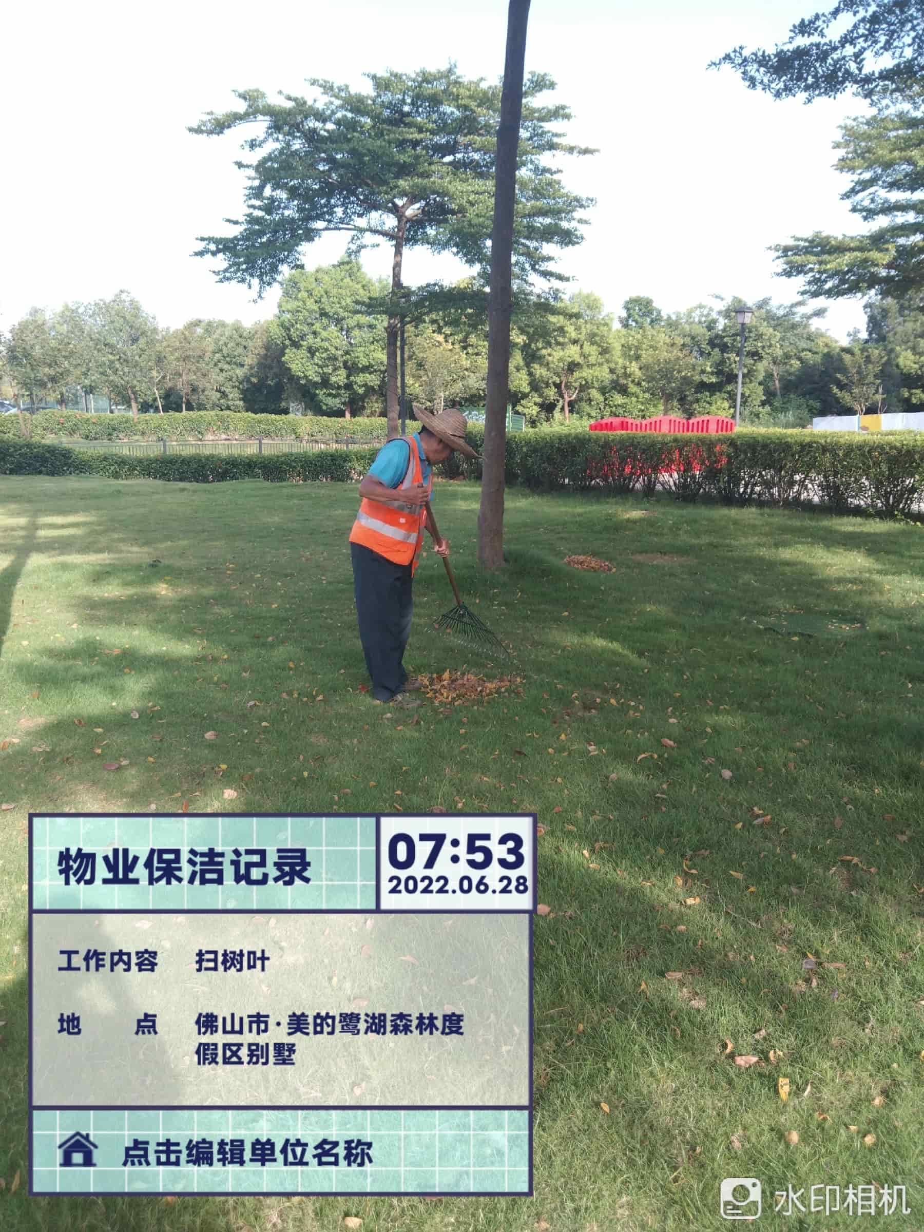 佛山園林綠化公司,苗木