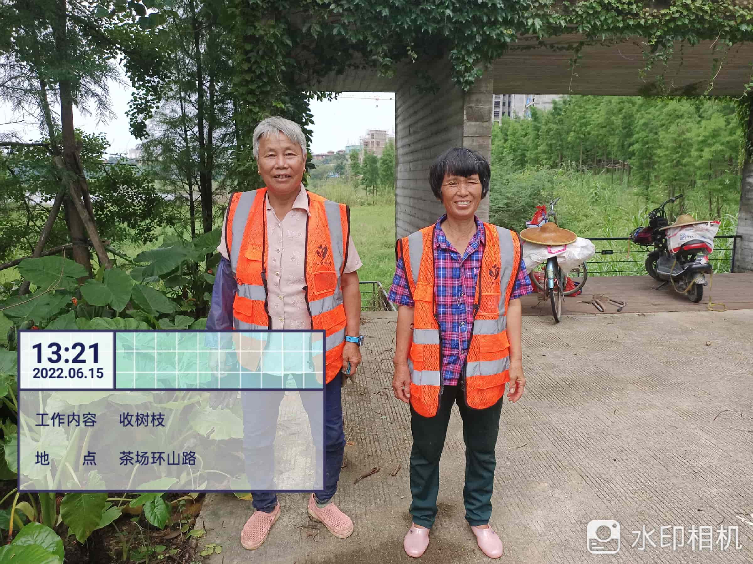 園林綠化養護,園林綠化