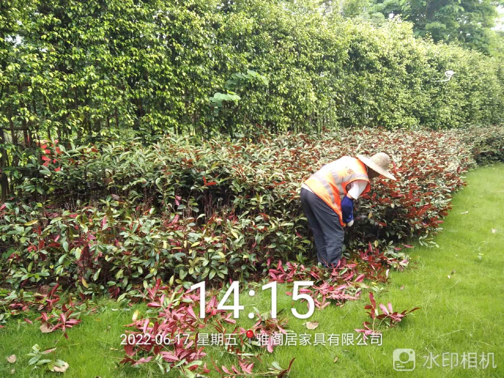 園林綠化公司,施肥 園林綠化公司,施肥