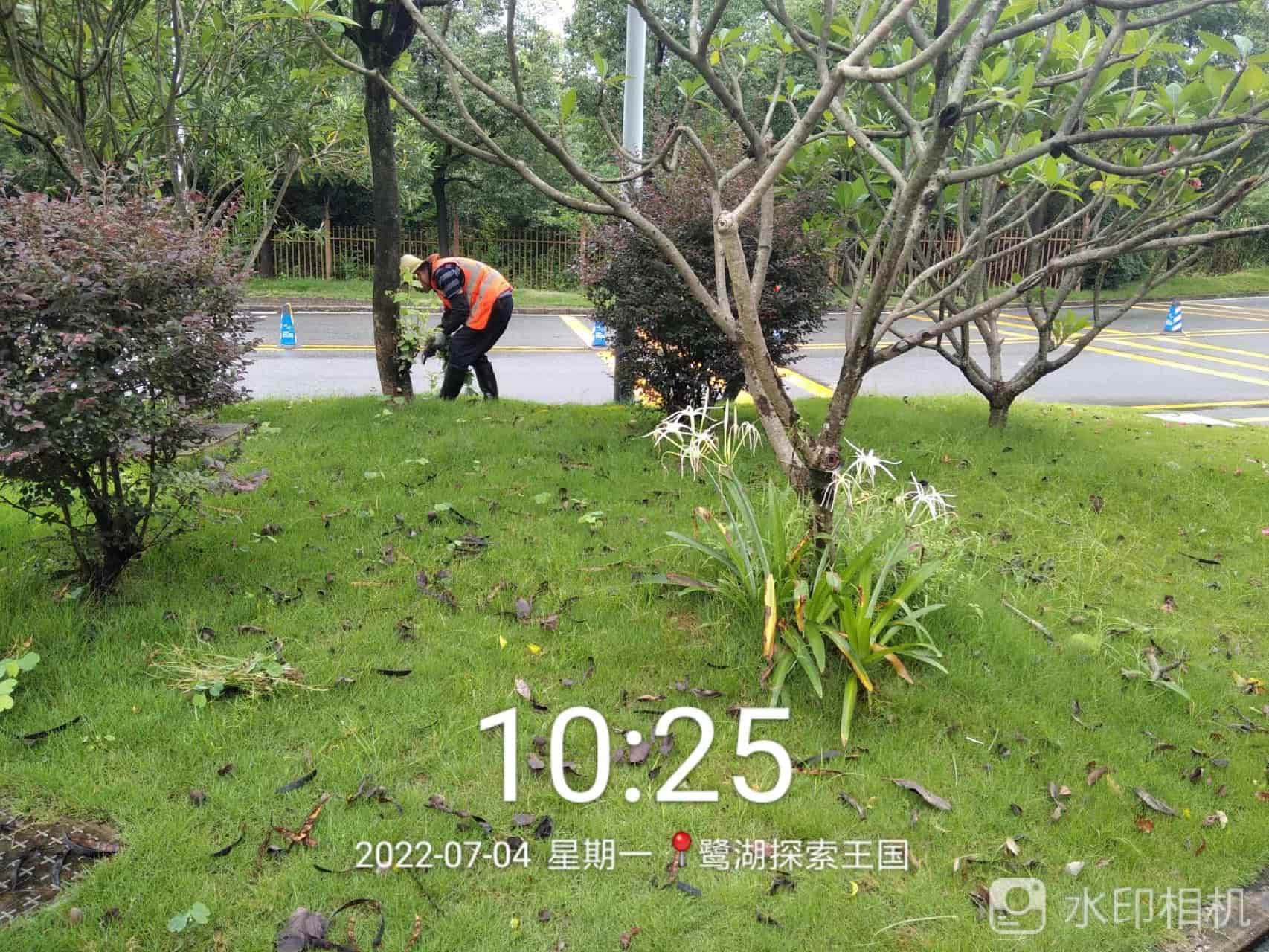 綠化養護,園林綠化養護公司