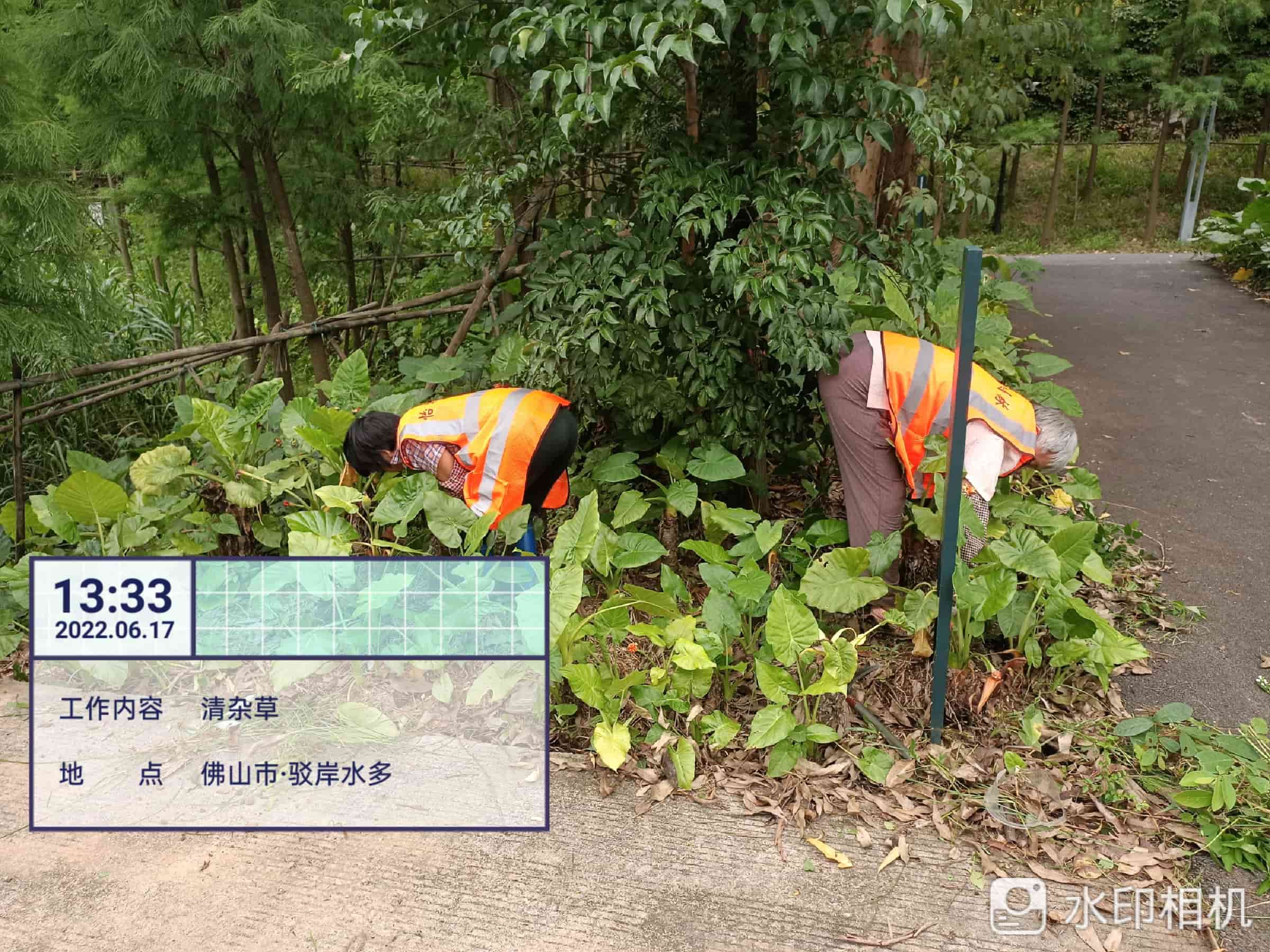 園林綠化養護公司 園林綠化養護公司