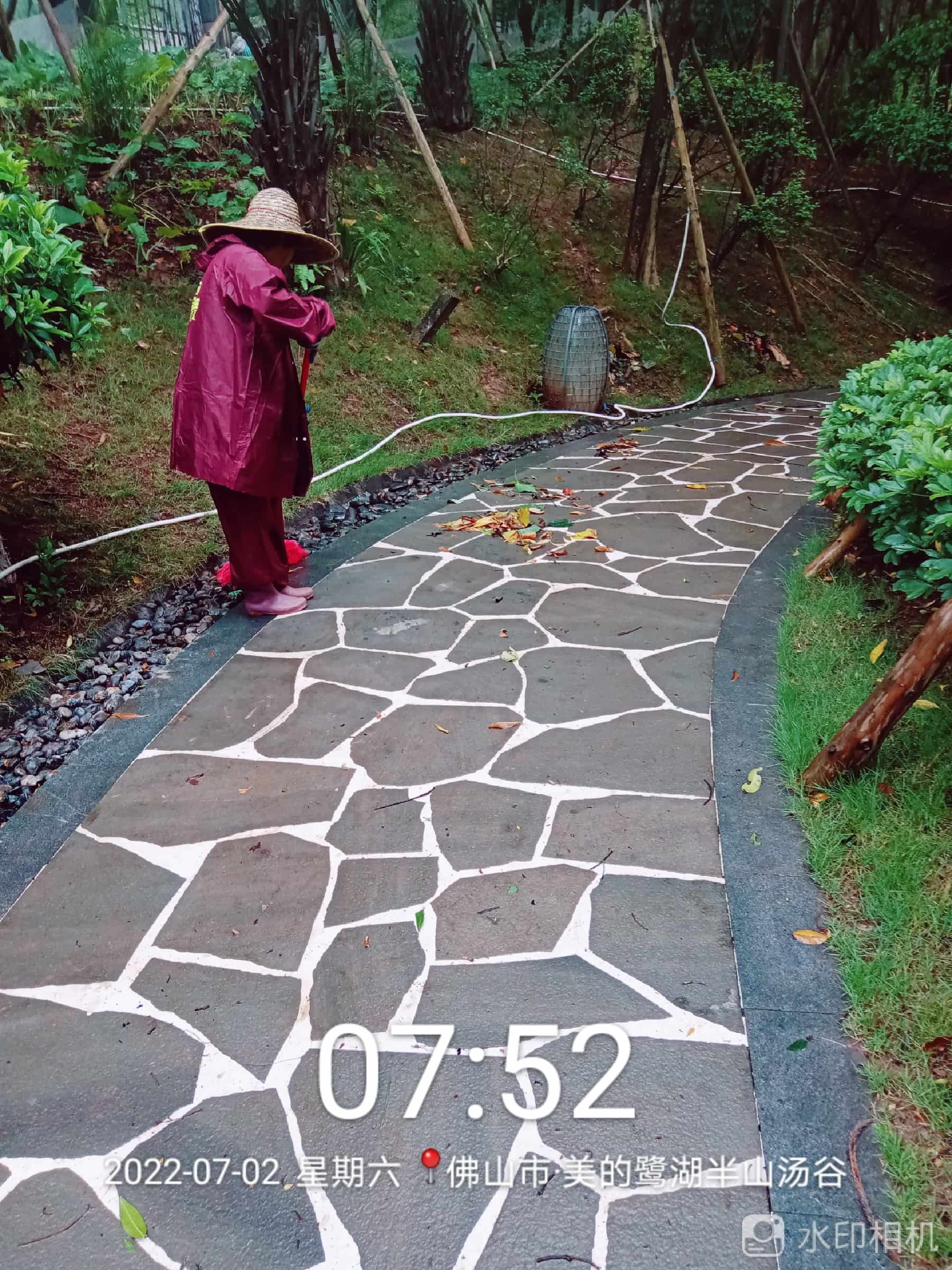 園林綠化公司,綠化養護,枸杞