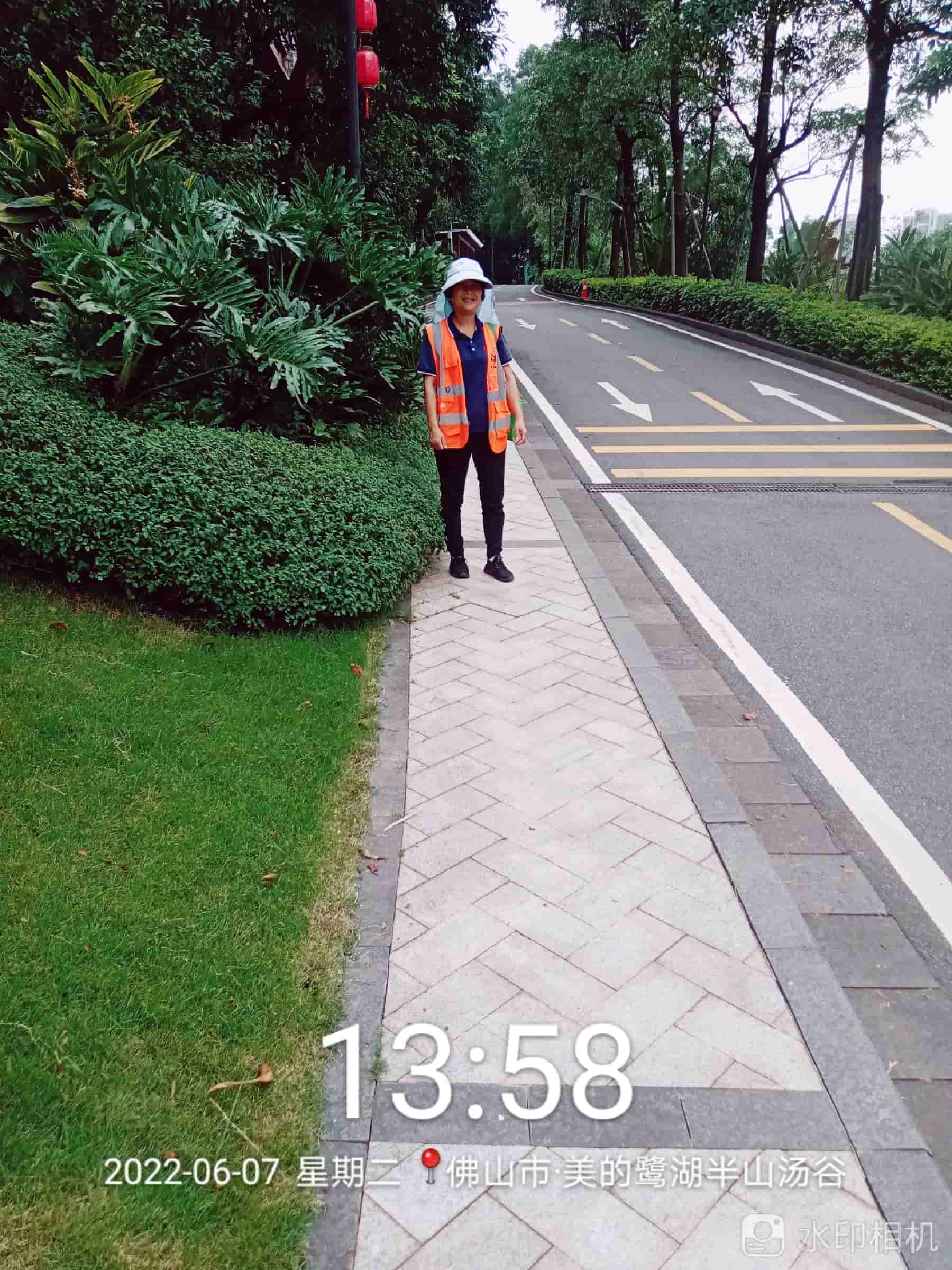 佛山綠化公司,苗木 佛山綠化公司,苗木