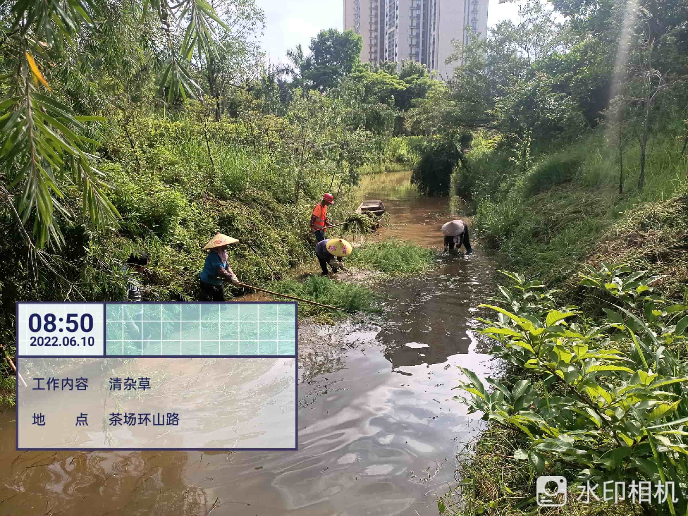 園林綠化 園林綠化